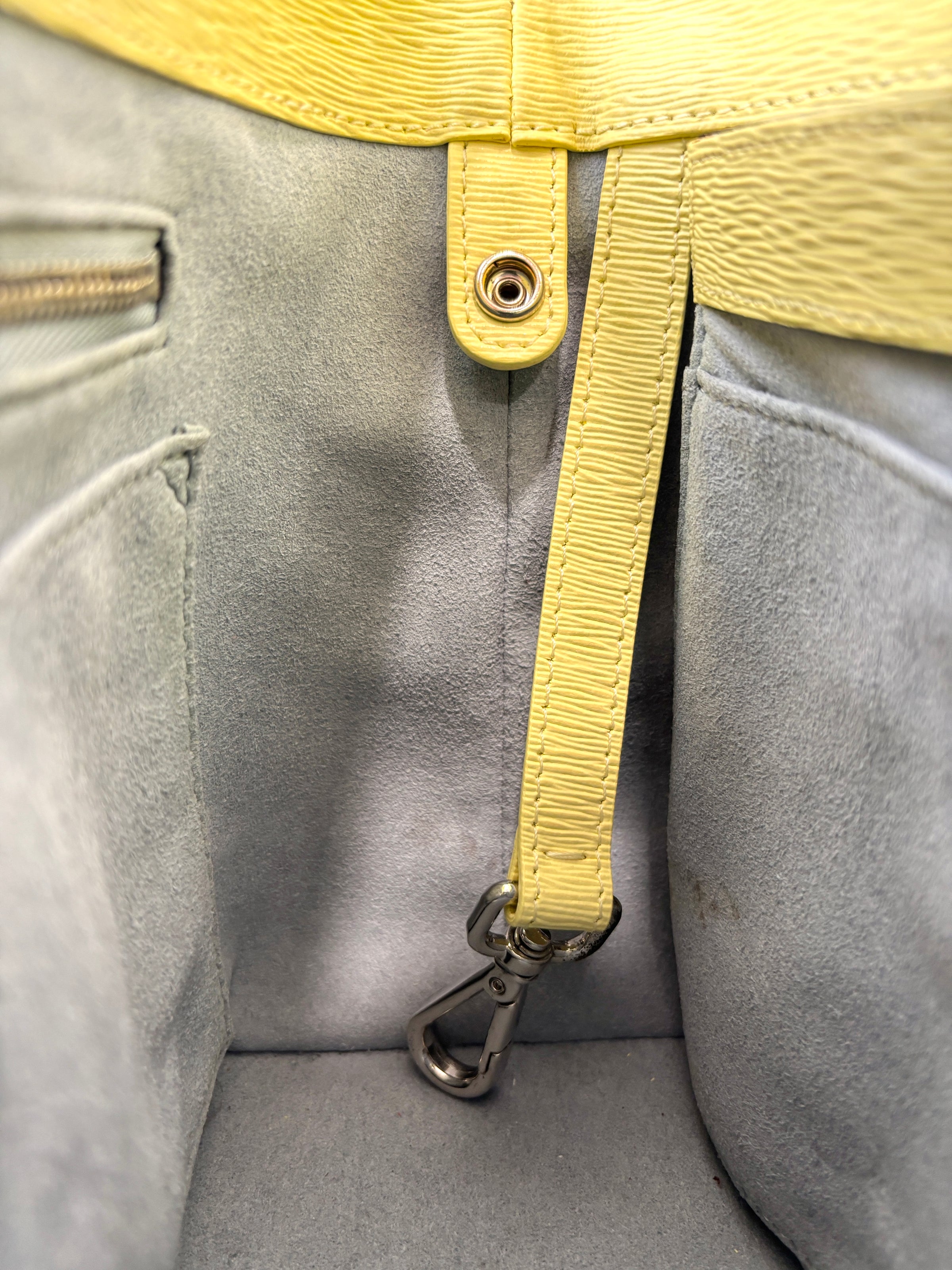 Mini Maestra in Mimosa Chiffon