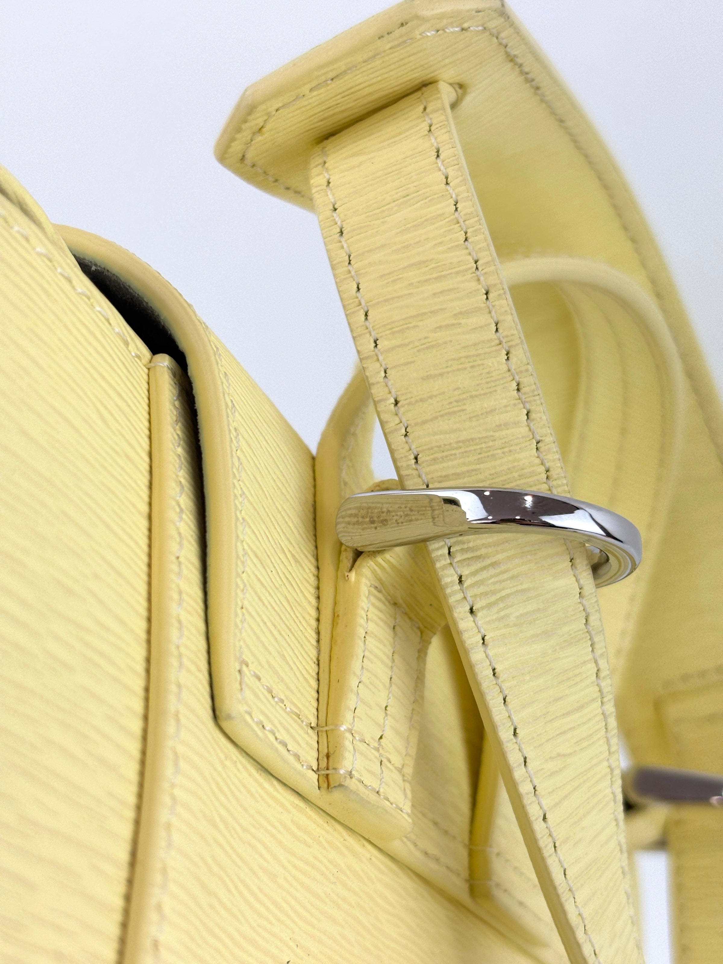 Mini Maestra in Mimosa Chiffon