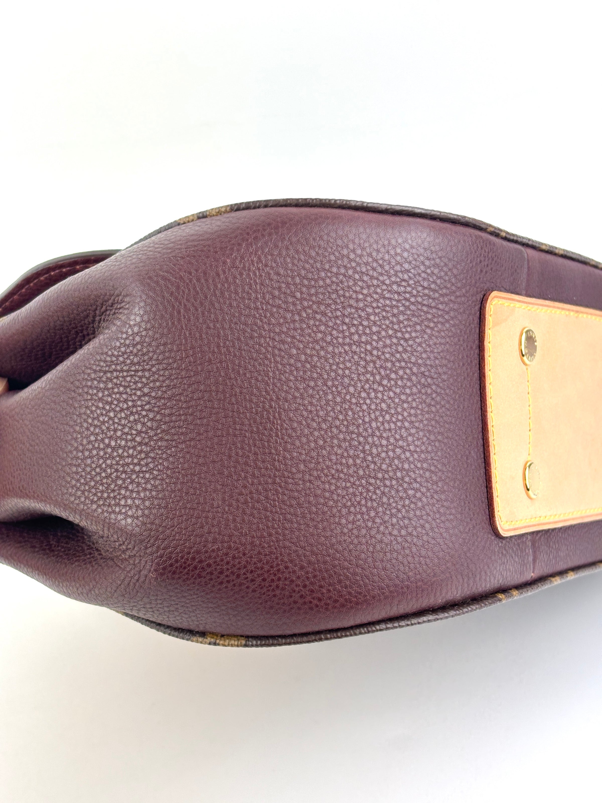 Eden MM Bordeaux Monogram Canvas Bag