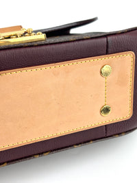 Eden MM Bordeaux Monogram Canvas Bag