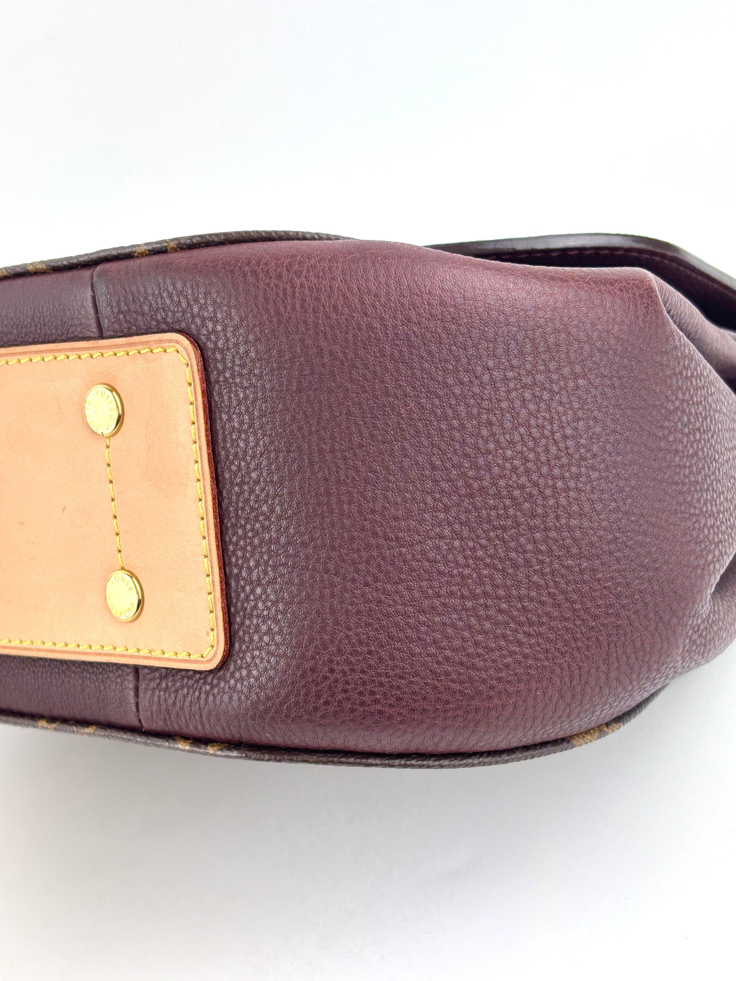 Eden MM Bordeaux Monogram Canvas Bag