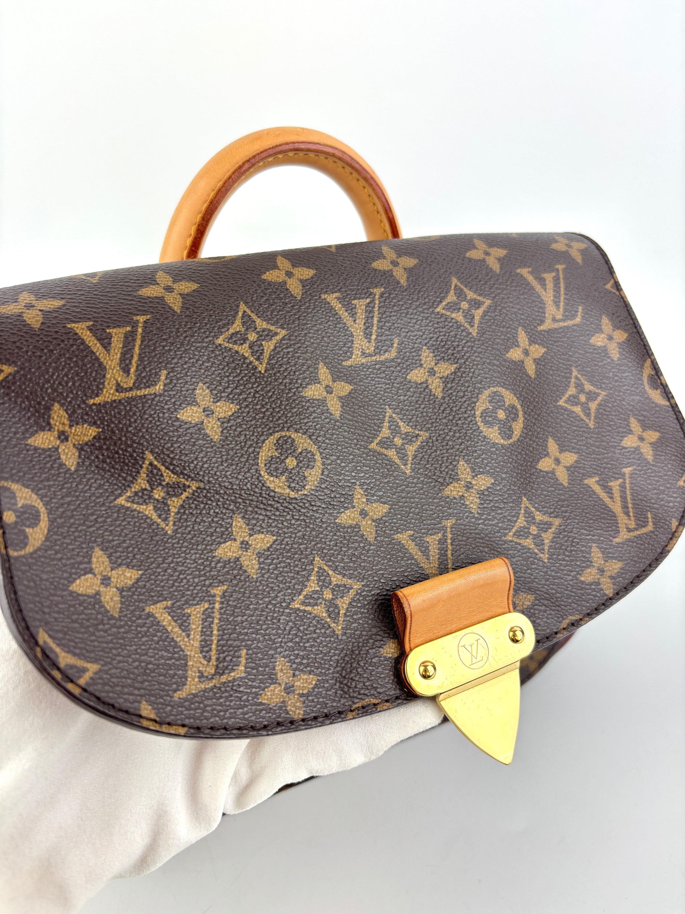 Eden MM Bordeaux Monogram Canvas Bag