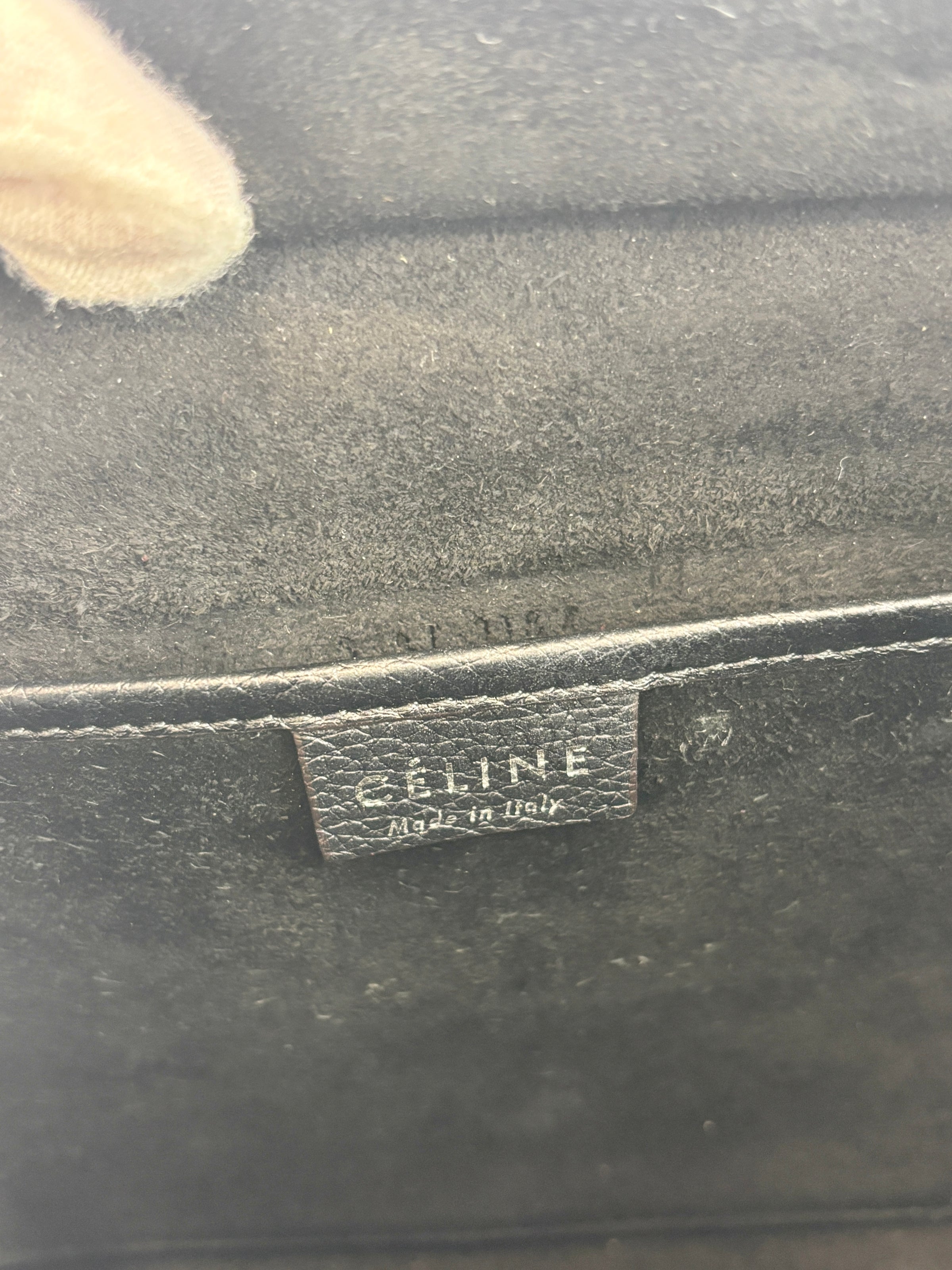 Nano Luggage Tote Black Pebbled Calfskin