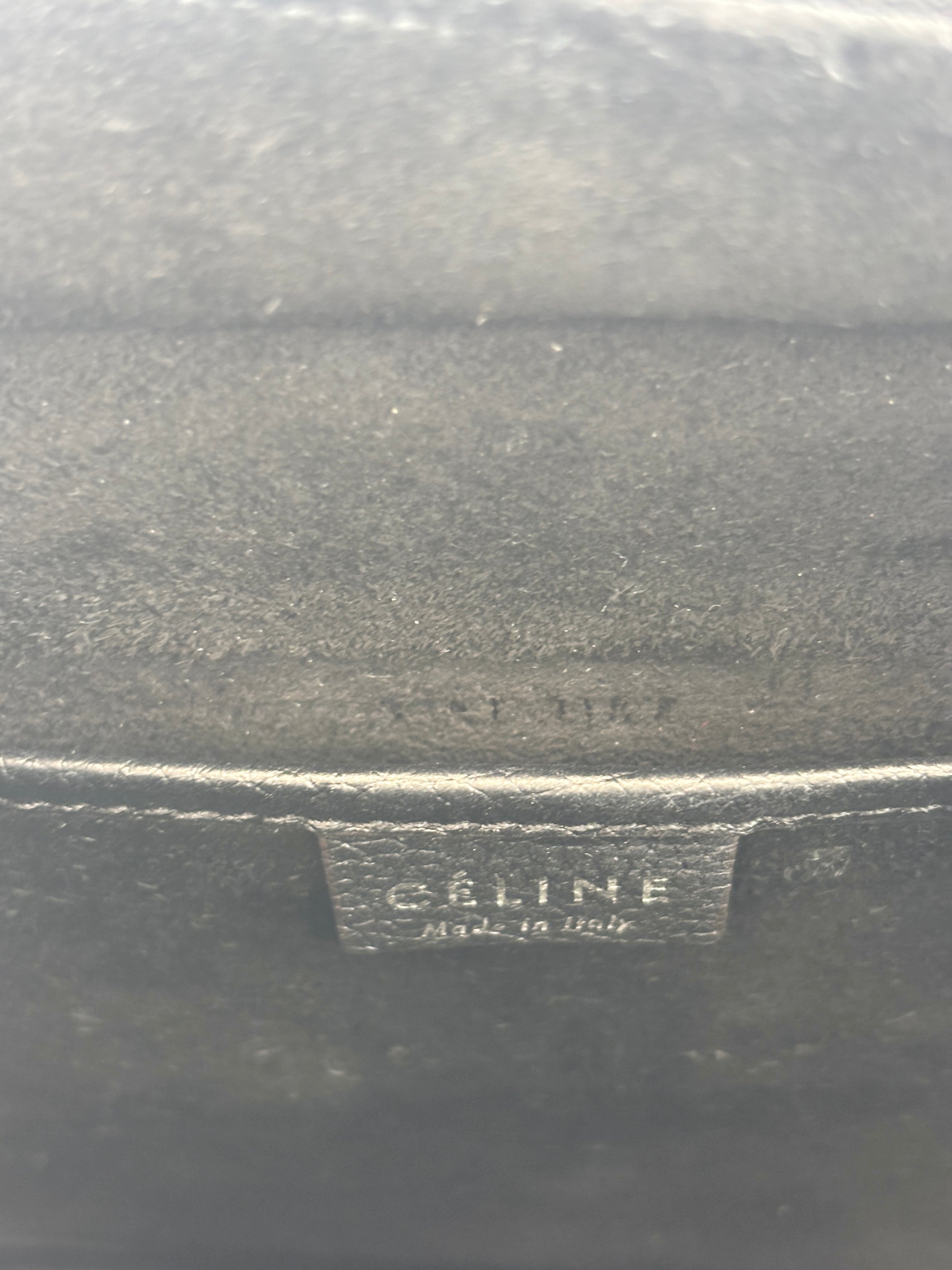 Nano Luggage Tote Black Pebbled Calfskin