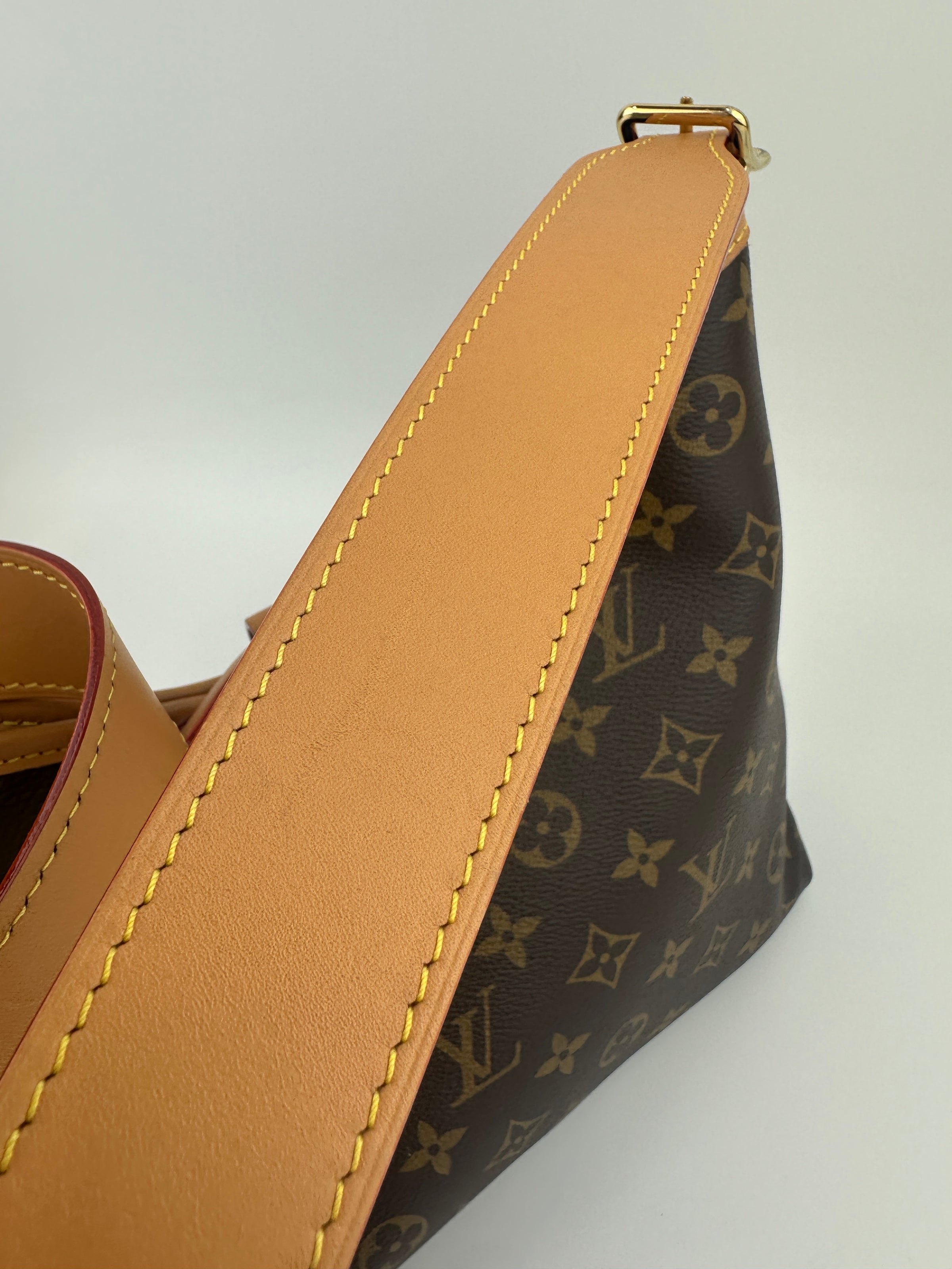M46203 CarryAll PM Monogram Canvas (RFID)