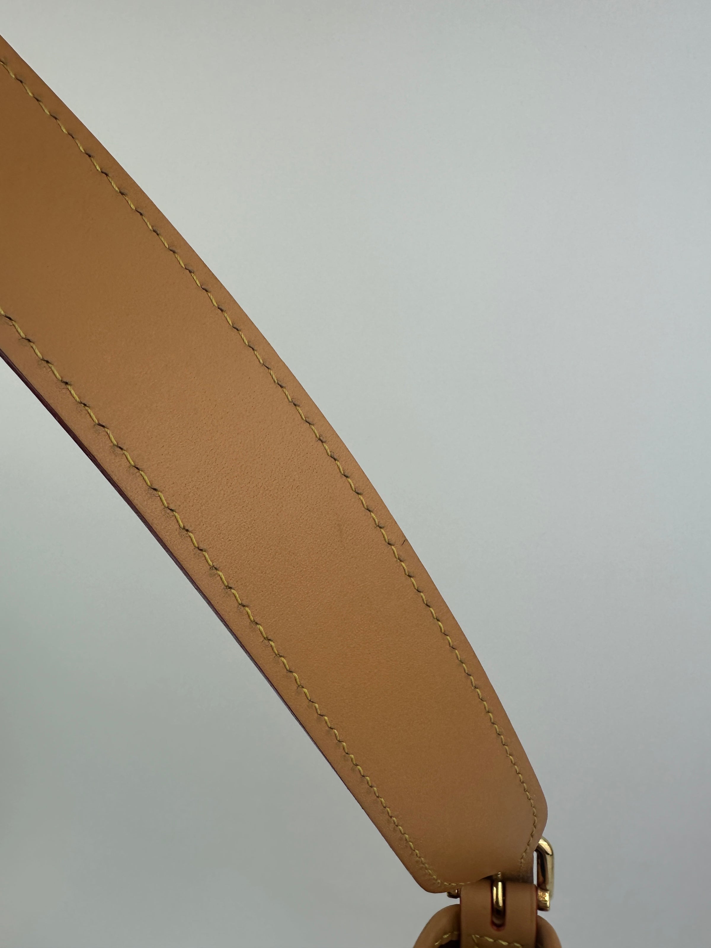 M46203 CarryAll PM Monogram Canvas (RFID)