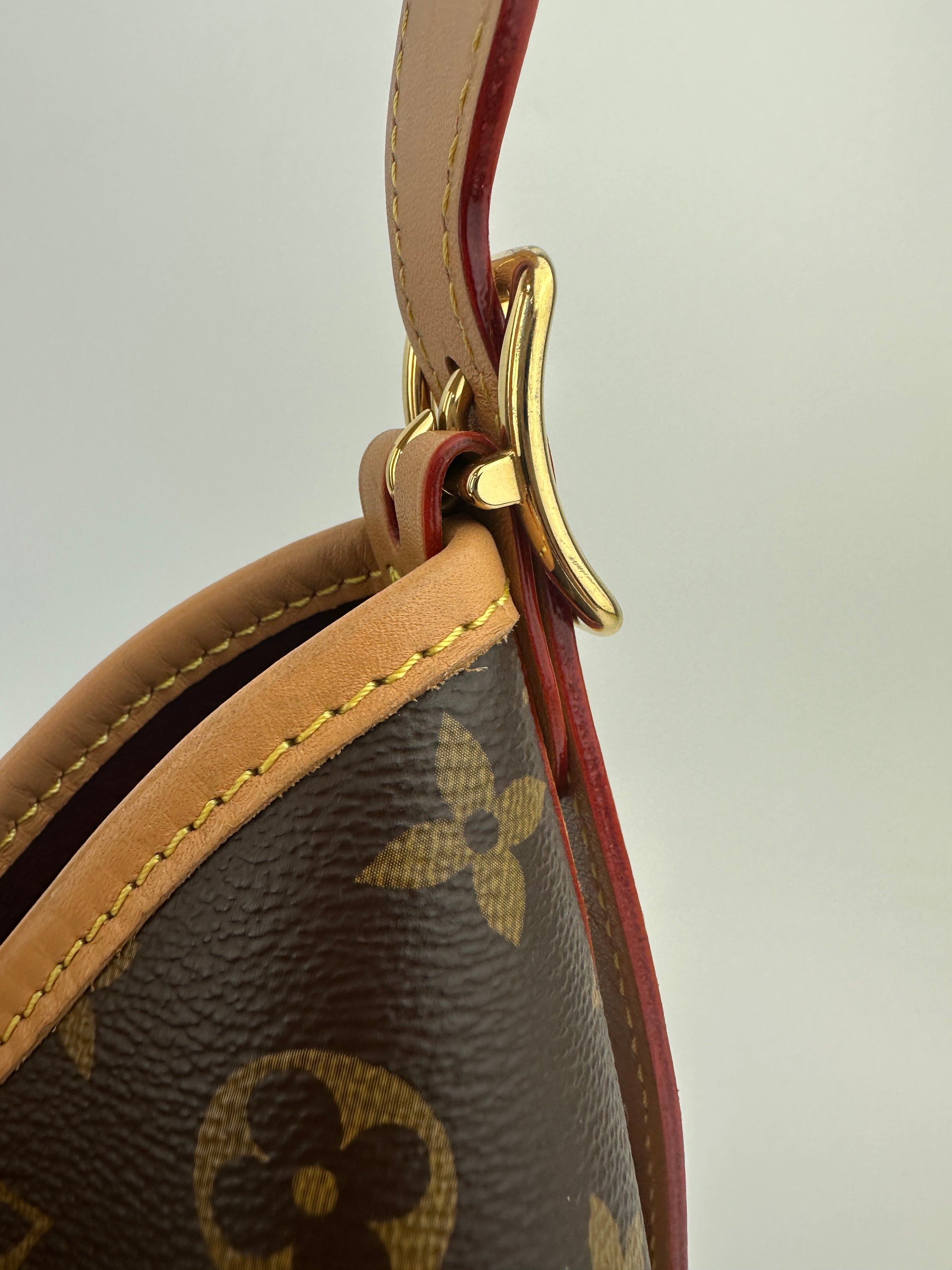 M46203 CarryAll PM Monogram Canvas (RFID)