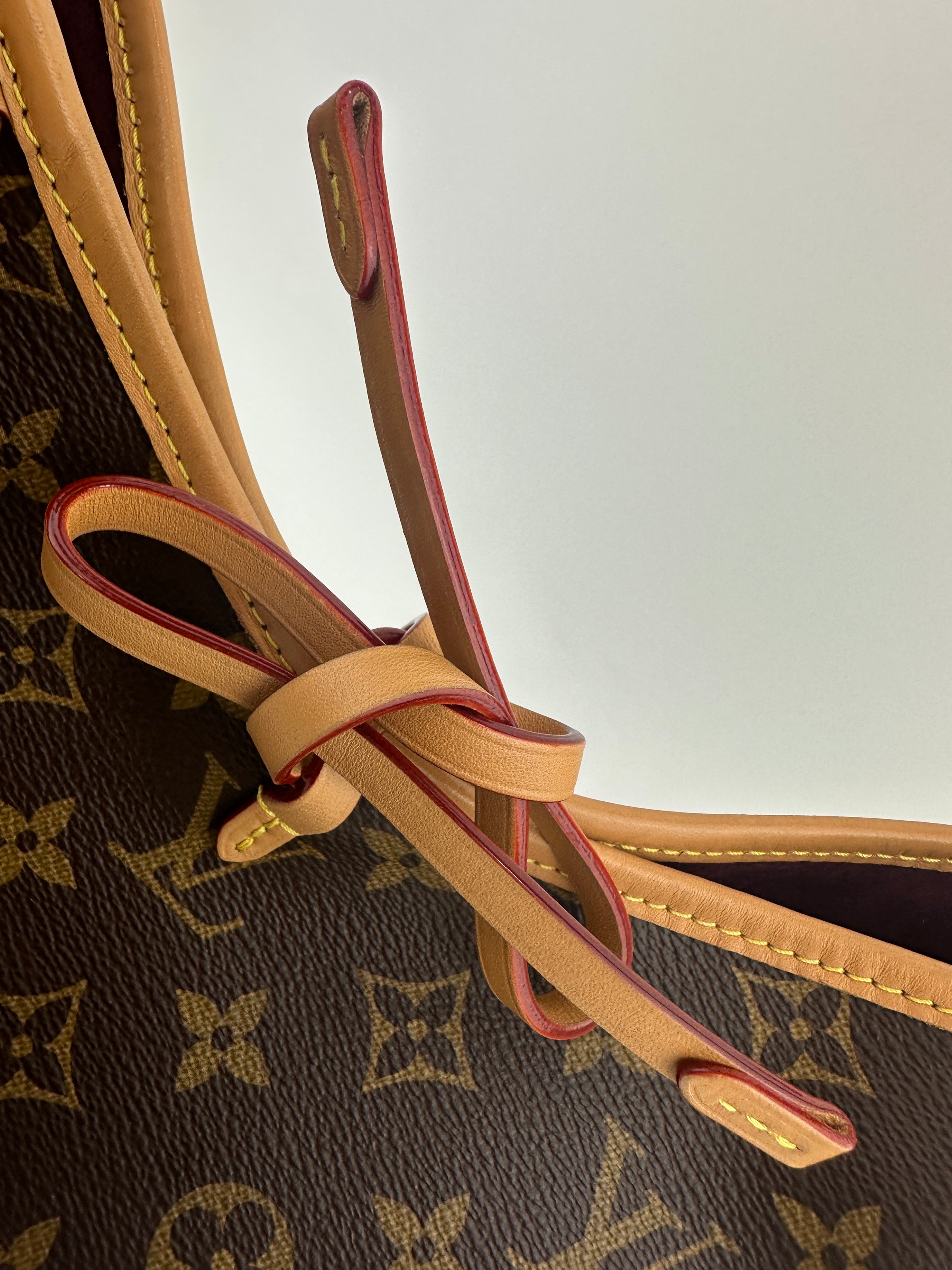 M46203 CarryAll PM Monogram Canvas (RFID)