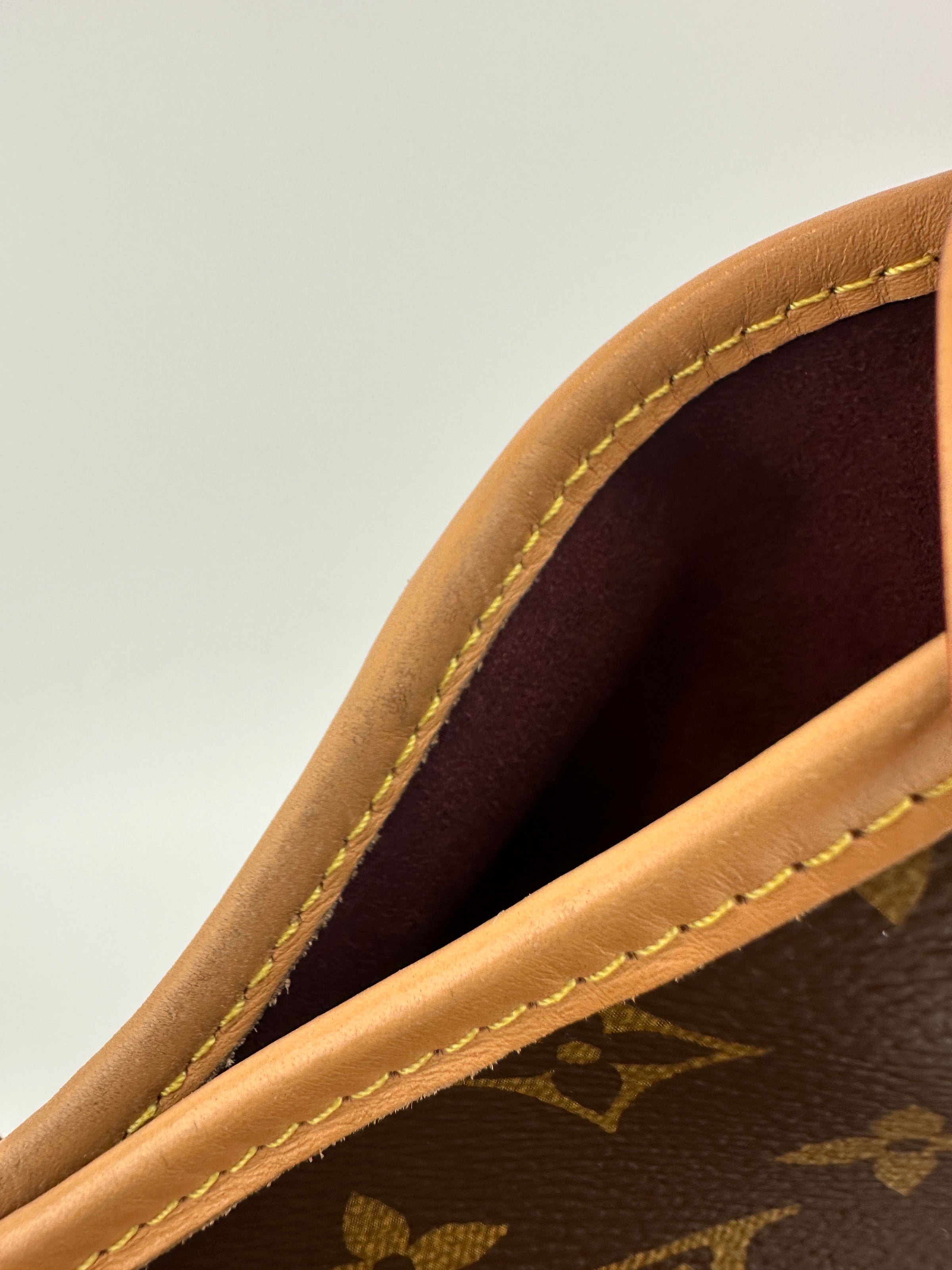 M46203 CarryAll PM Monogram Canvas (RFID)