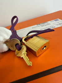 Birkin 30 Anemone Epsom Leather GHW