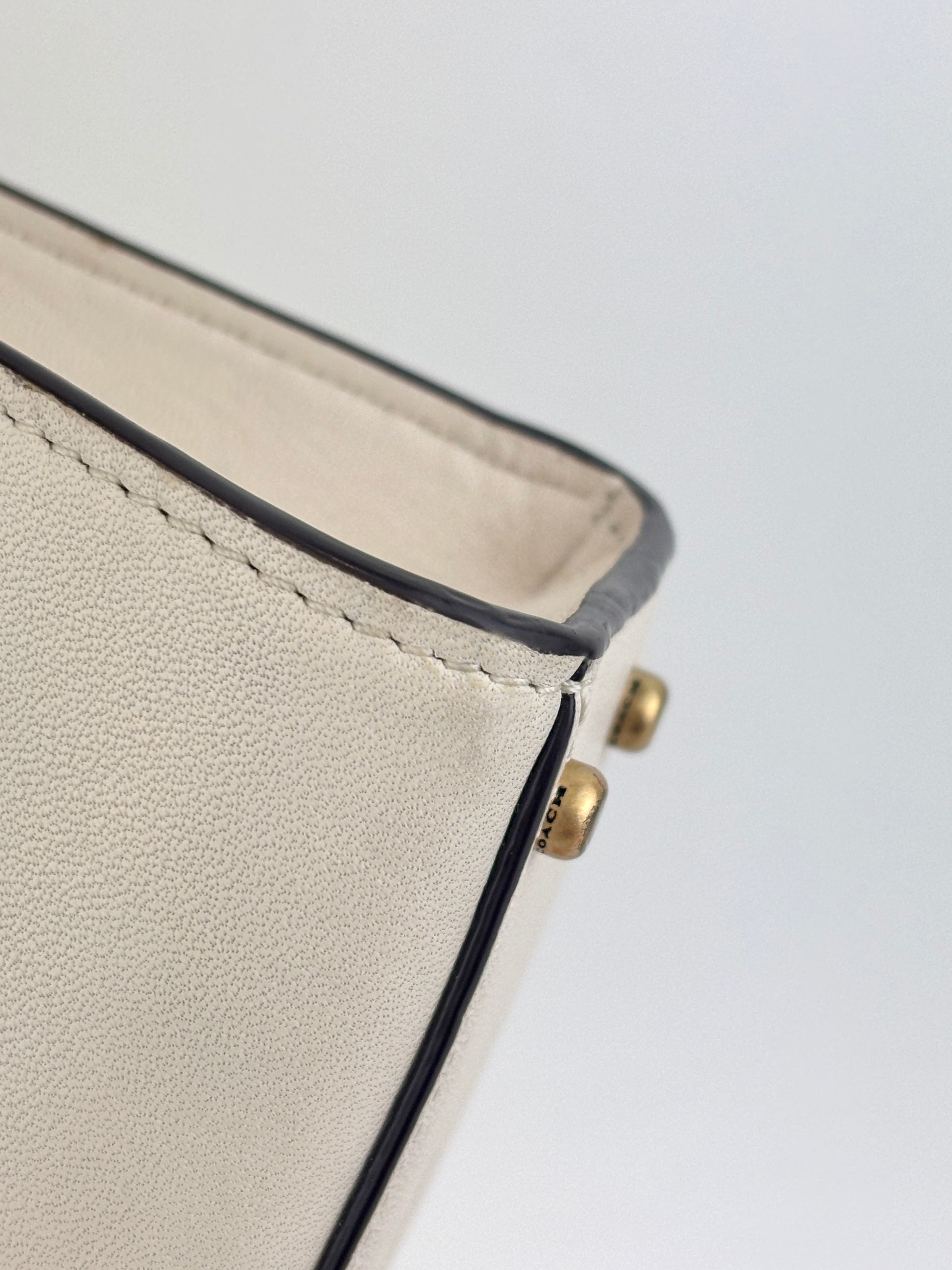 C4828 Mini Cashin Tote in Chalk