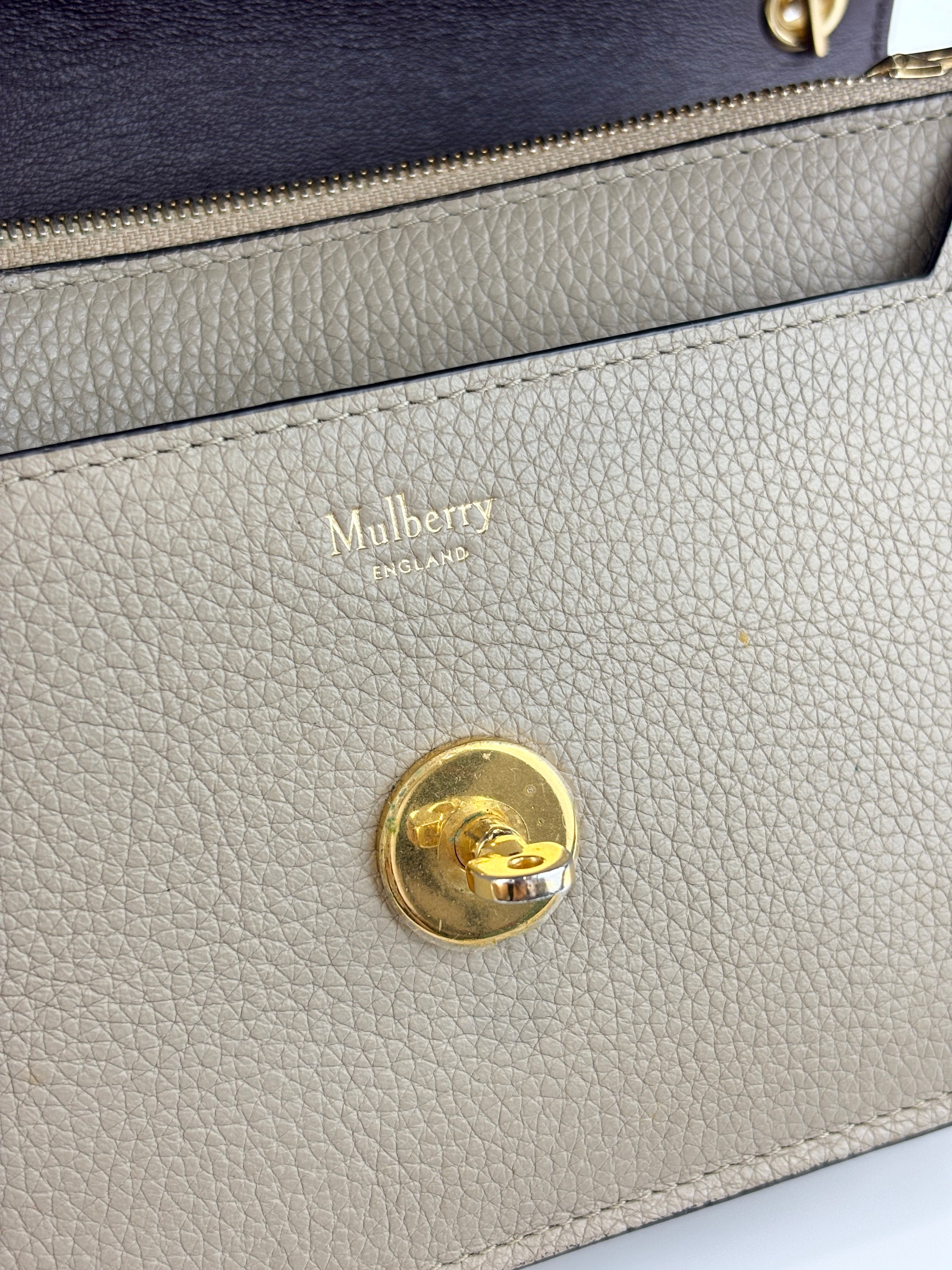 Small Darley Classic Grain in Dune Crossbody Bag - Glampot