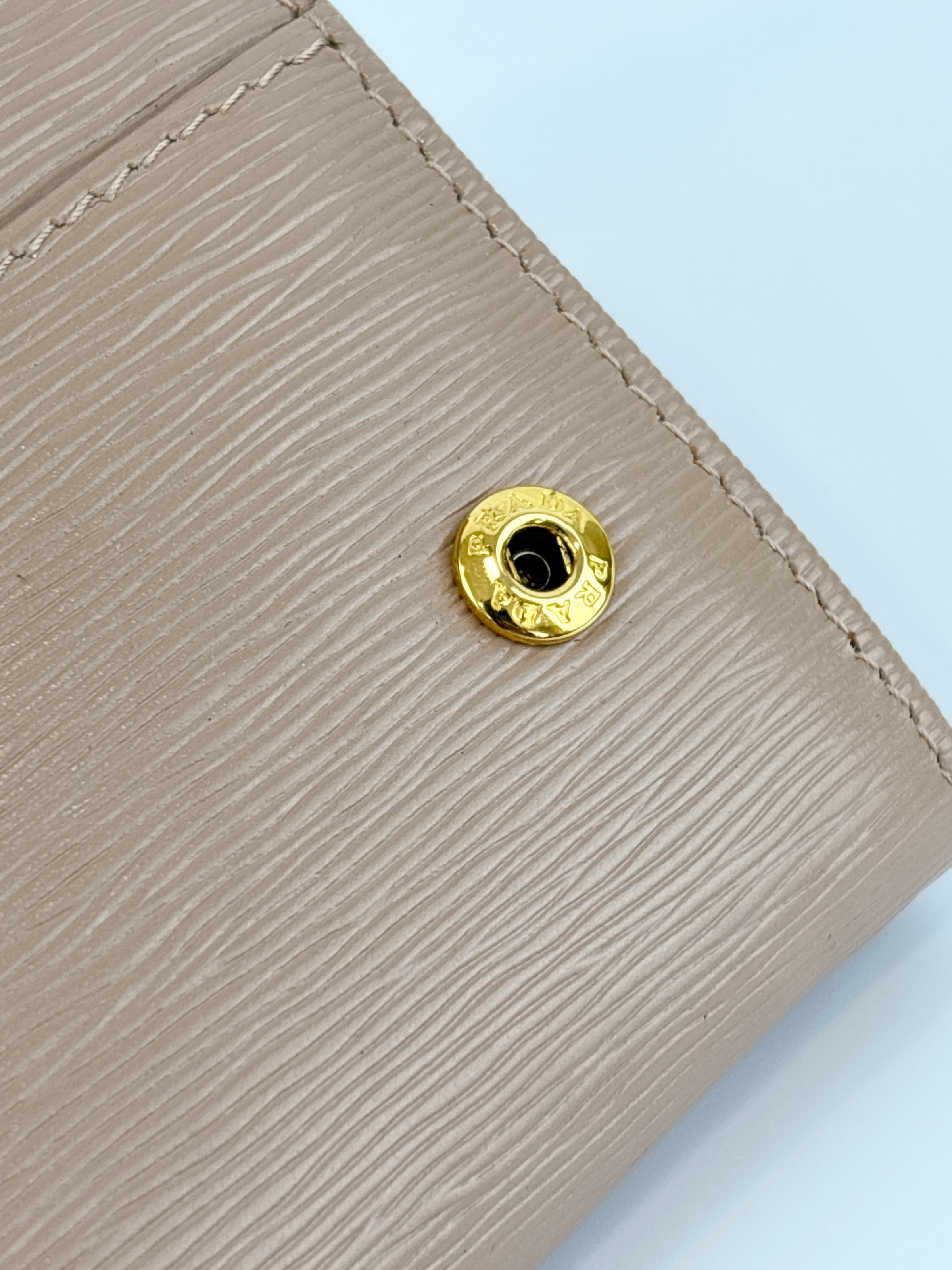 1M1132 Cammeo Vitello Move Leather Continental Wallet