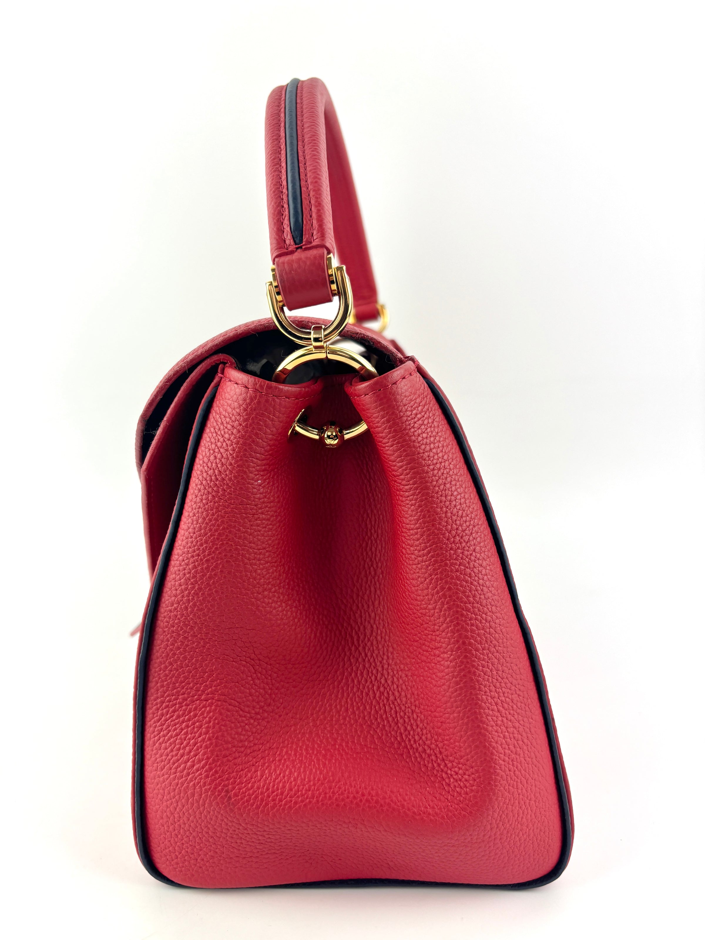 Rubis Leather & Monogram Canvas Double V Bag