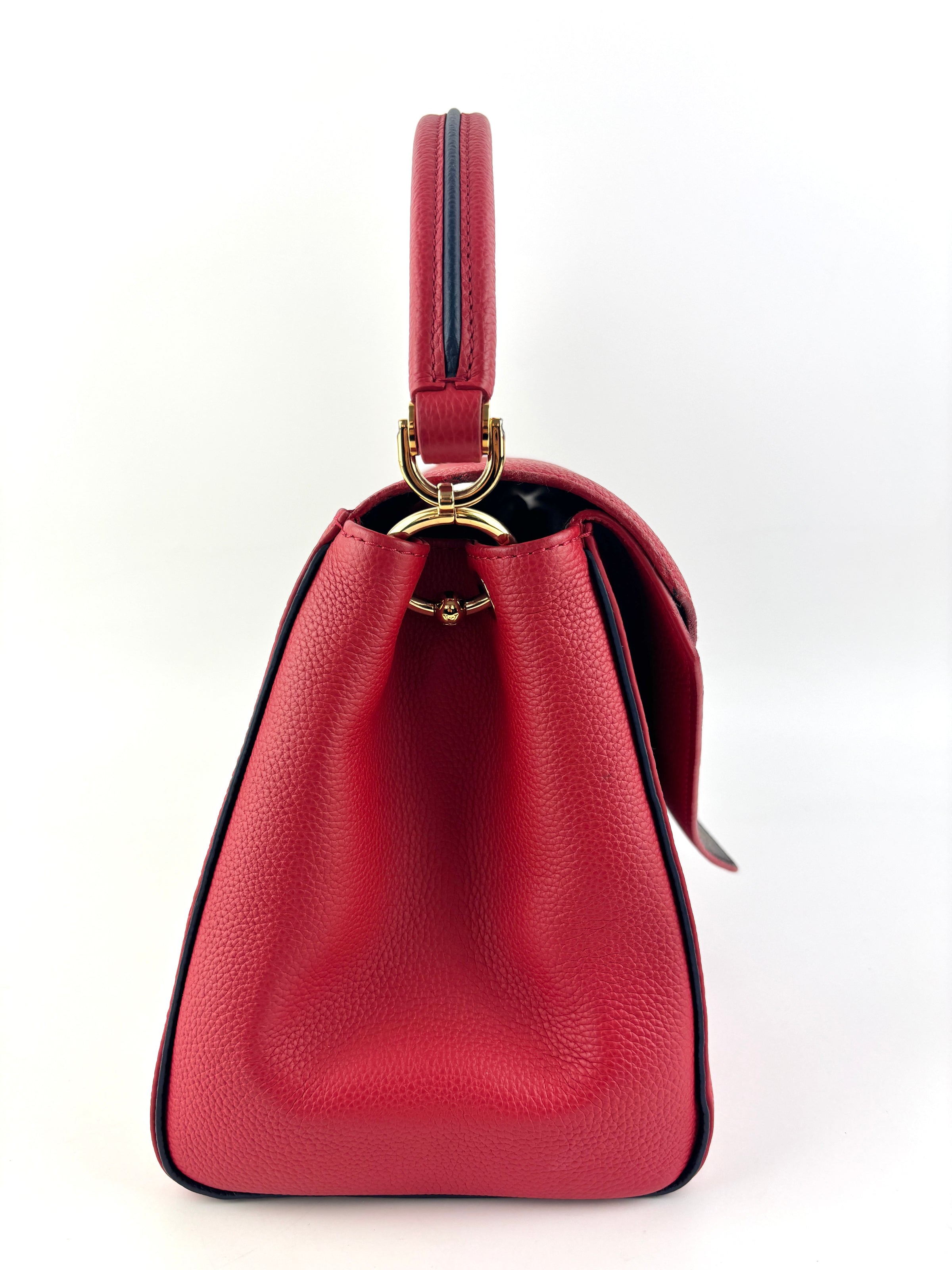 Rubis Leather & Monogram Canvas Double V Bag
