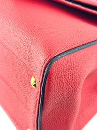 Rubis Leather & Monogram Canvas Double V Bag