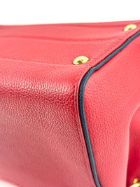 Rubis Leather & Monogram Canvas Double V Bag
