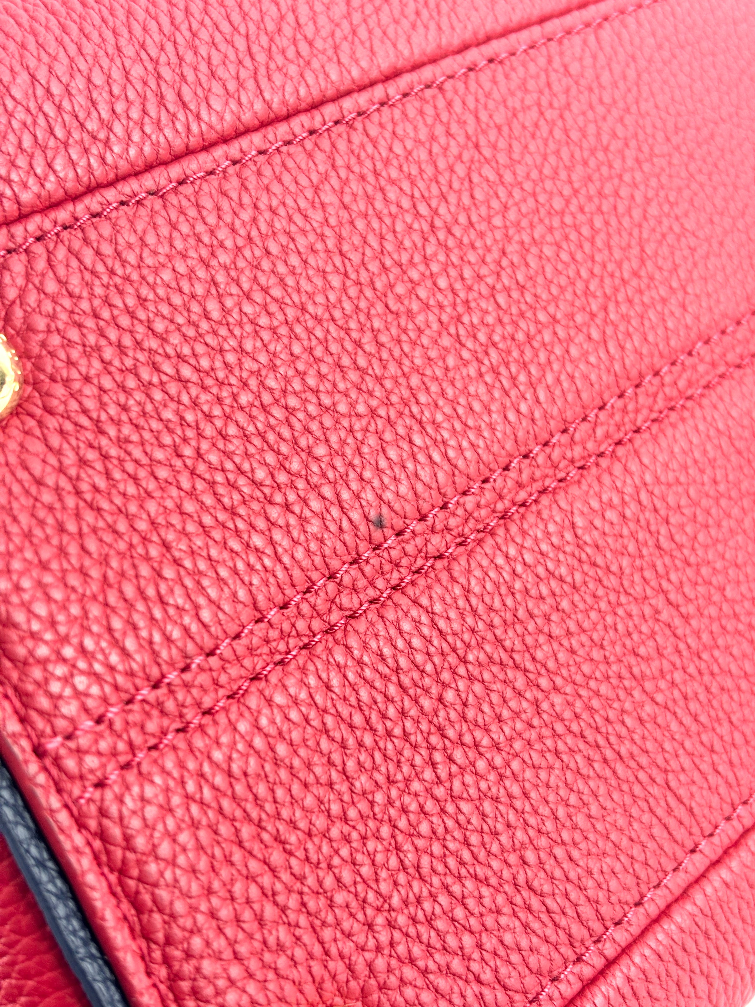 Rubis Leather & Monogram Canvas Double V Bag