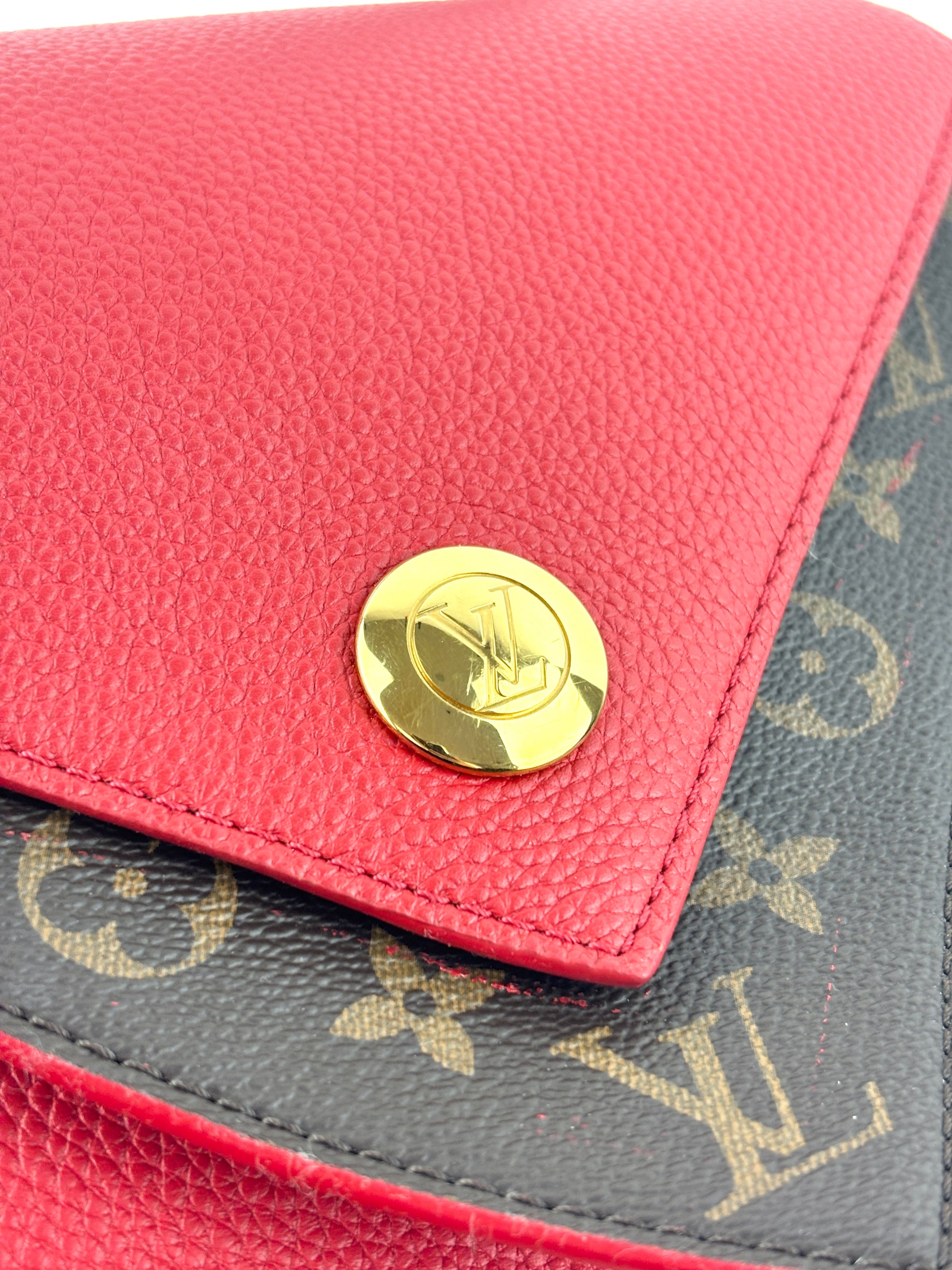 Rubis Leather & Monogram Canvas Double V Bag