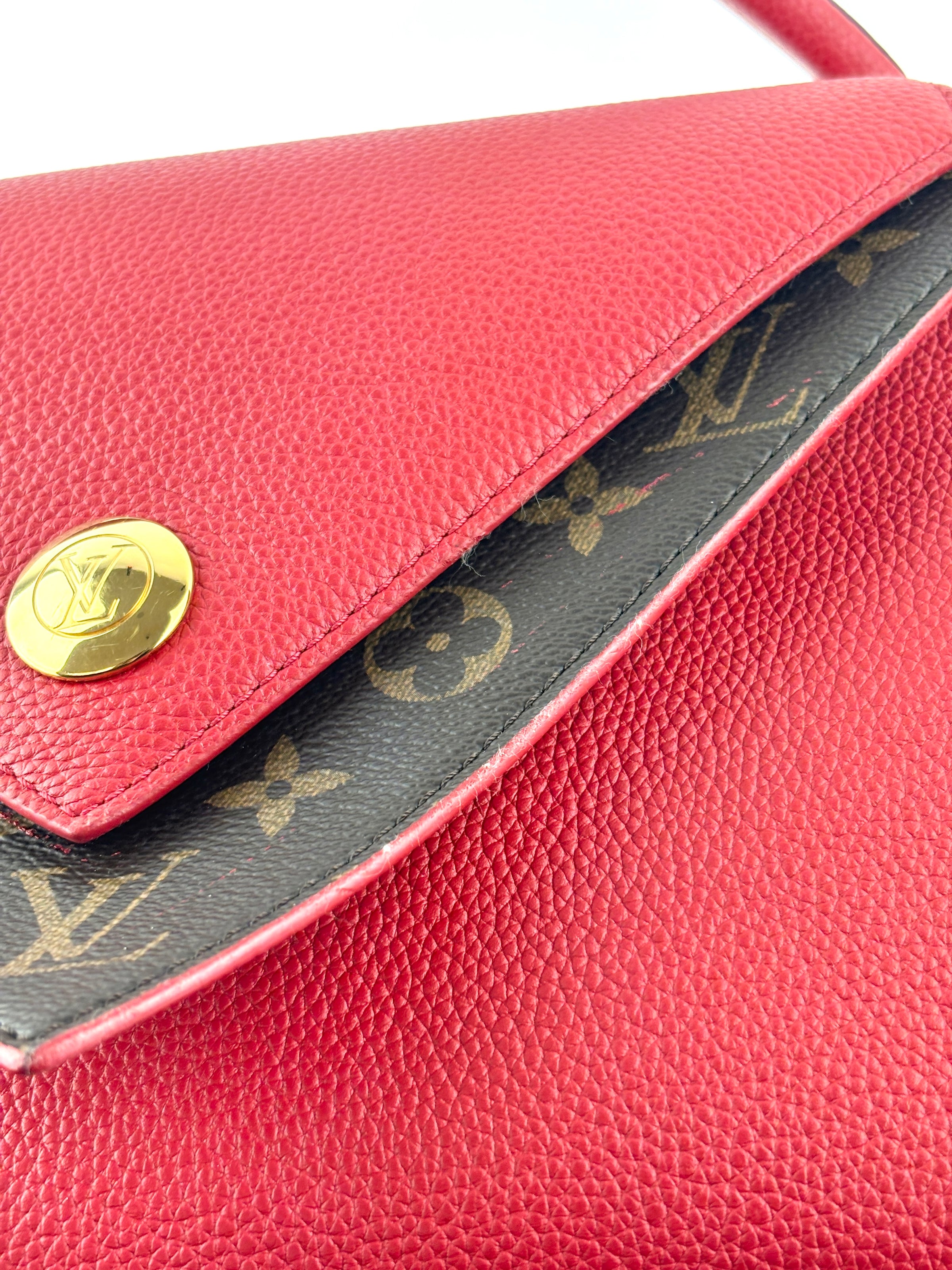 Rubis Leather & Monogram Canvas Double V Bag