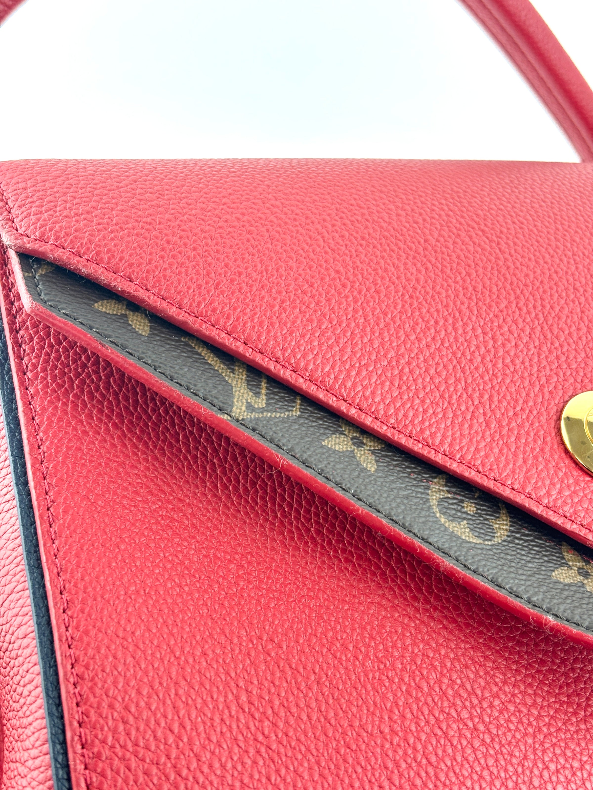 Rubis Leather & Monogram Canvas Double V Bag
