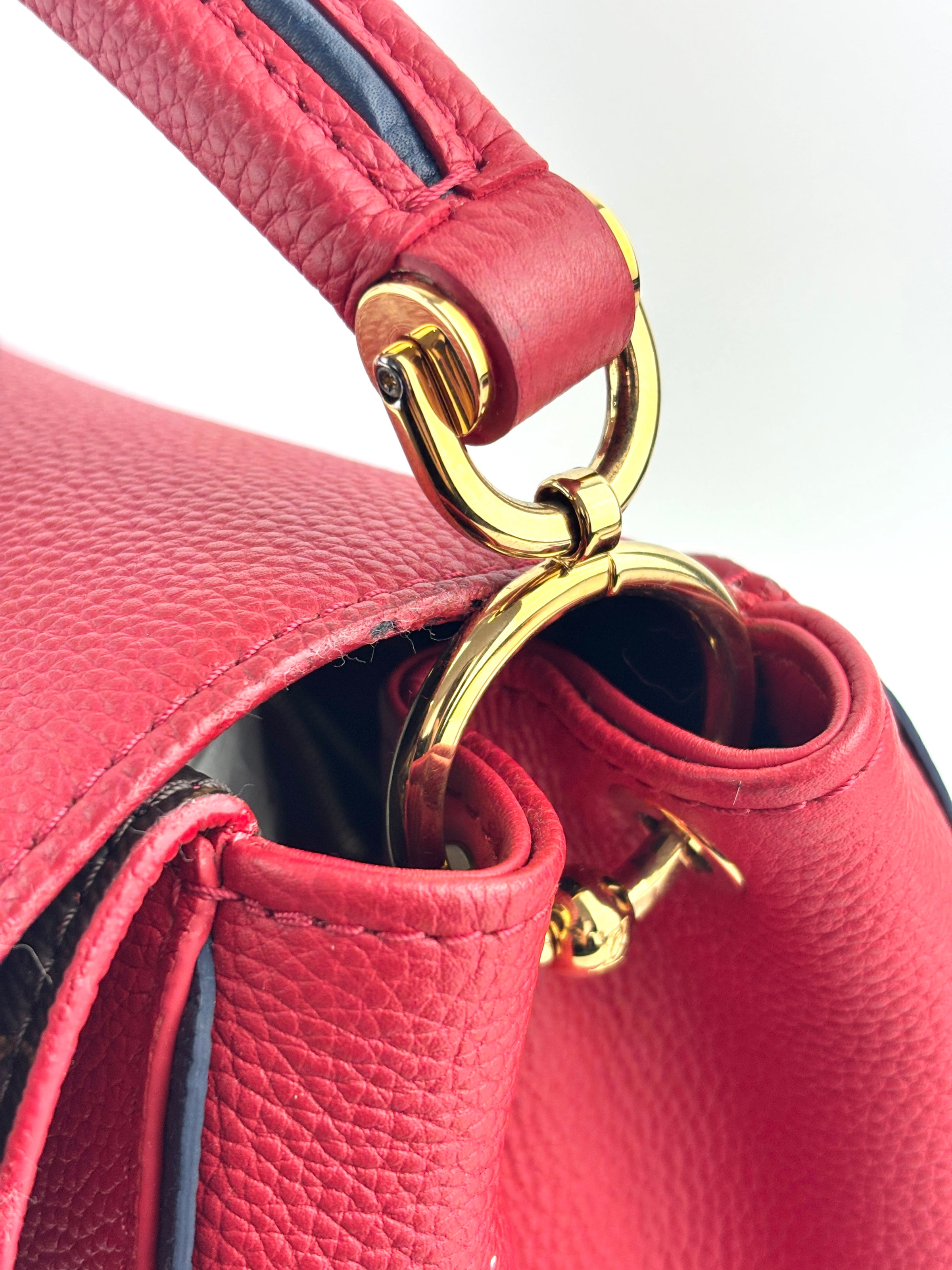 Rubis Leather & Monogram Canvas Double V Bag