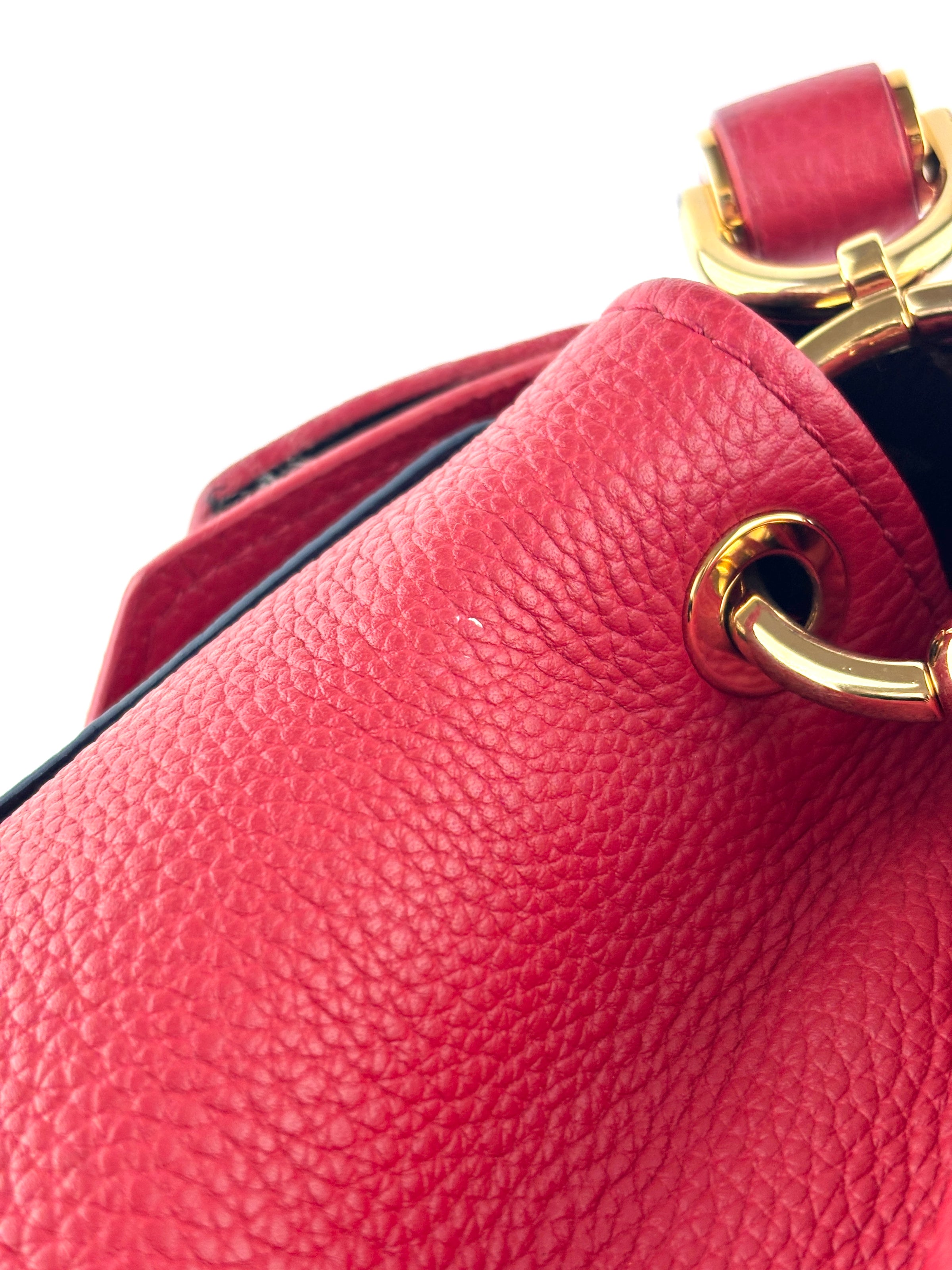Rubis Leather & Monogram Canvas Double V Bag