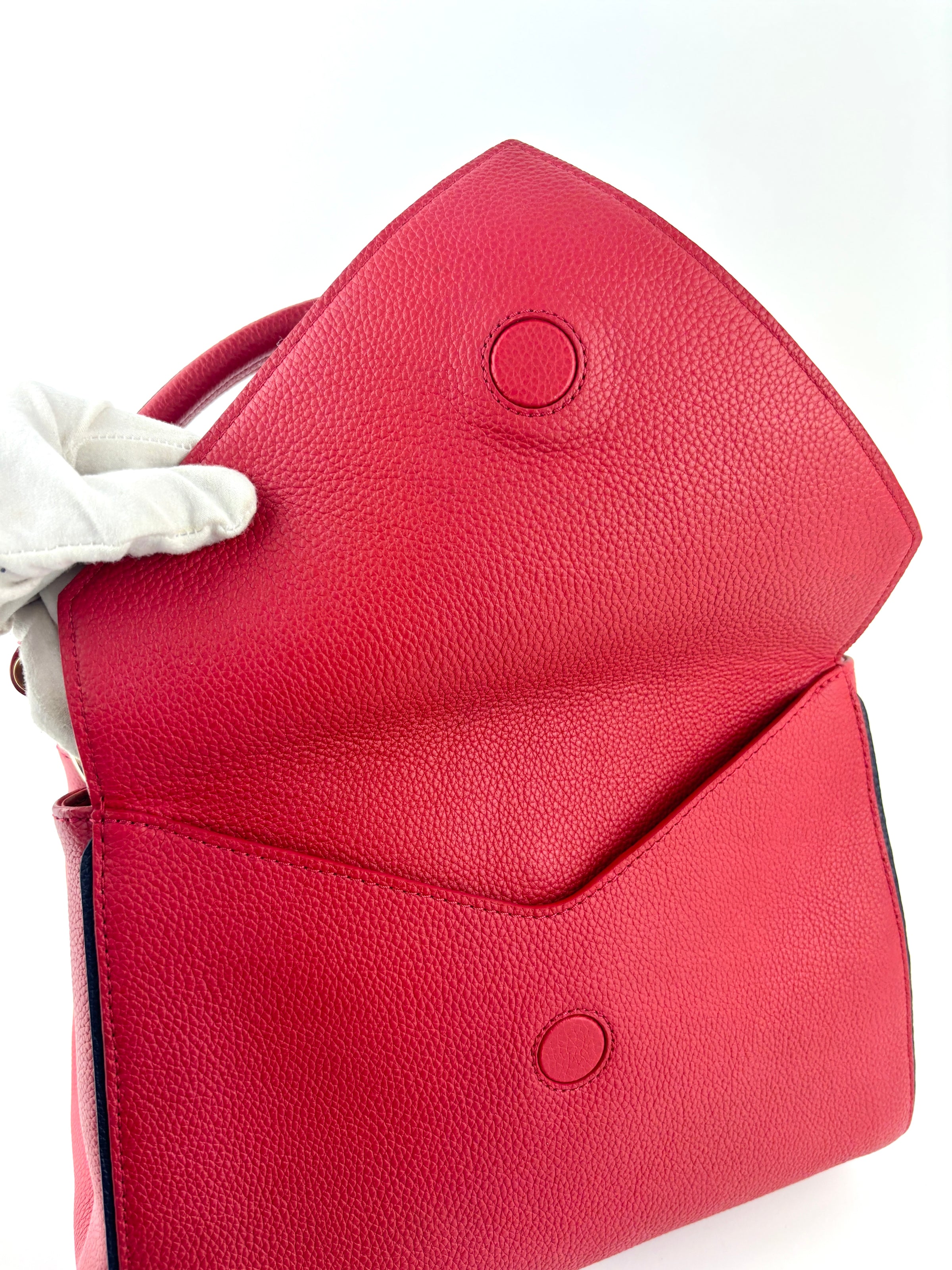 Rubis Leather & Monogram Canvas Double V Bag