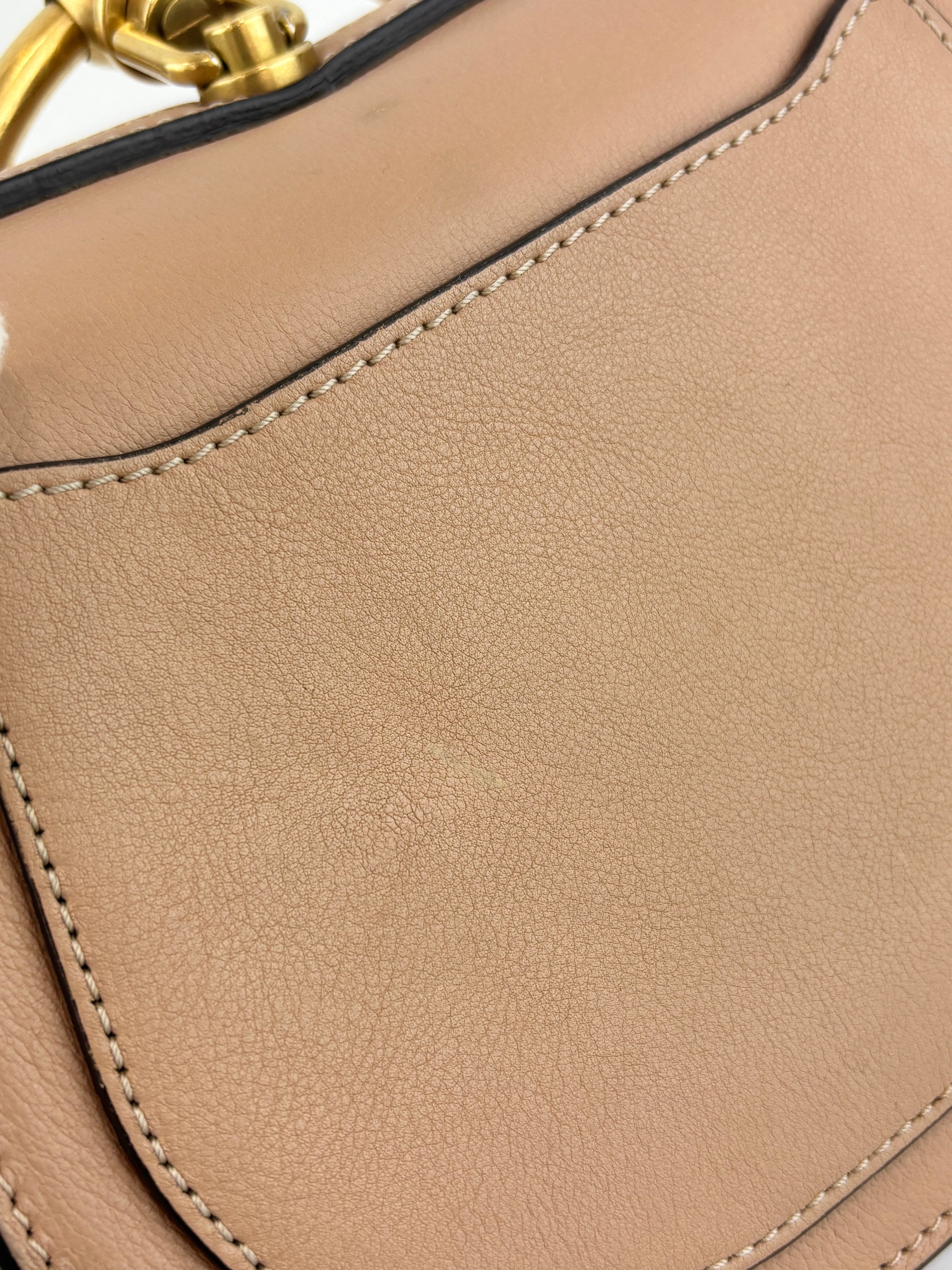 Small Nile Bracelet Bag Biscotti Beige
