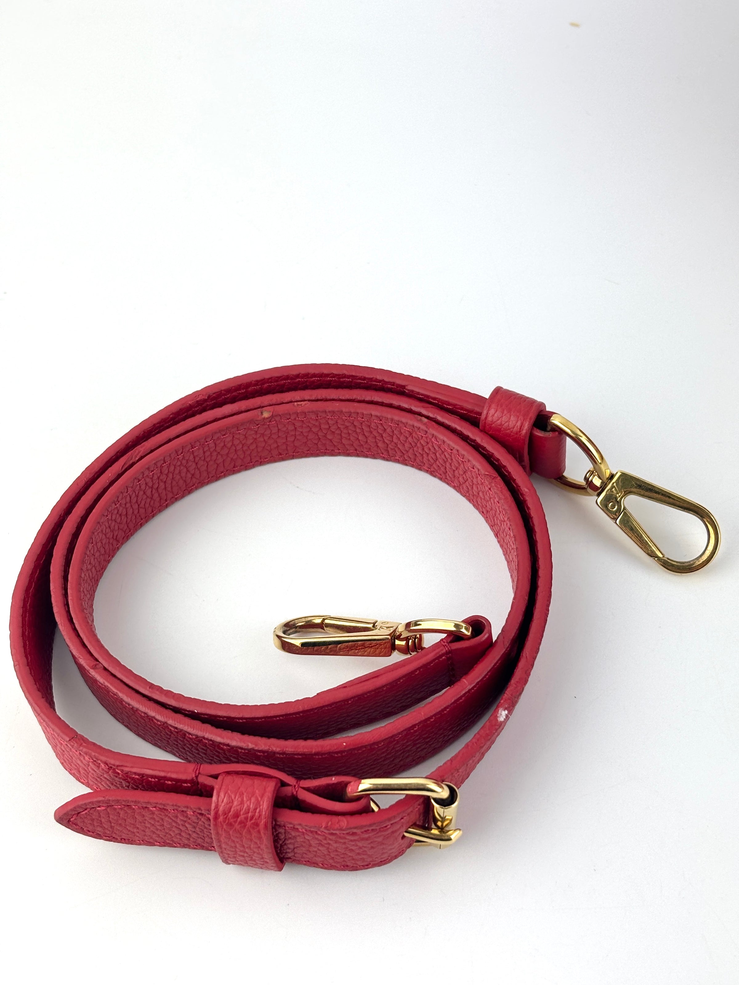 Rubis Leather & Monogram Canvas Double V Bag