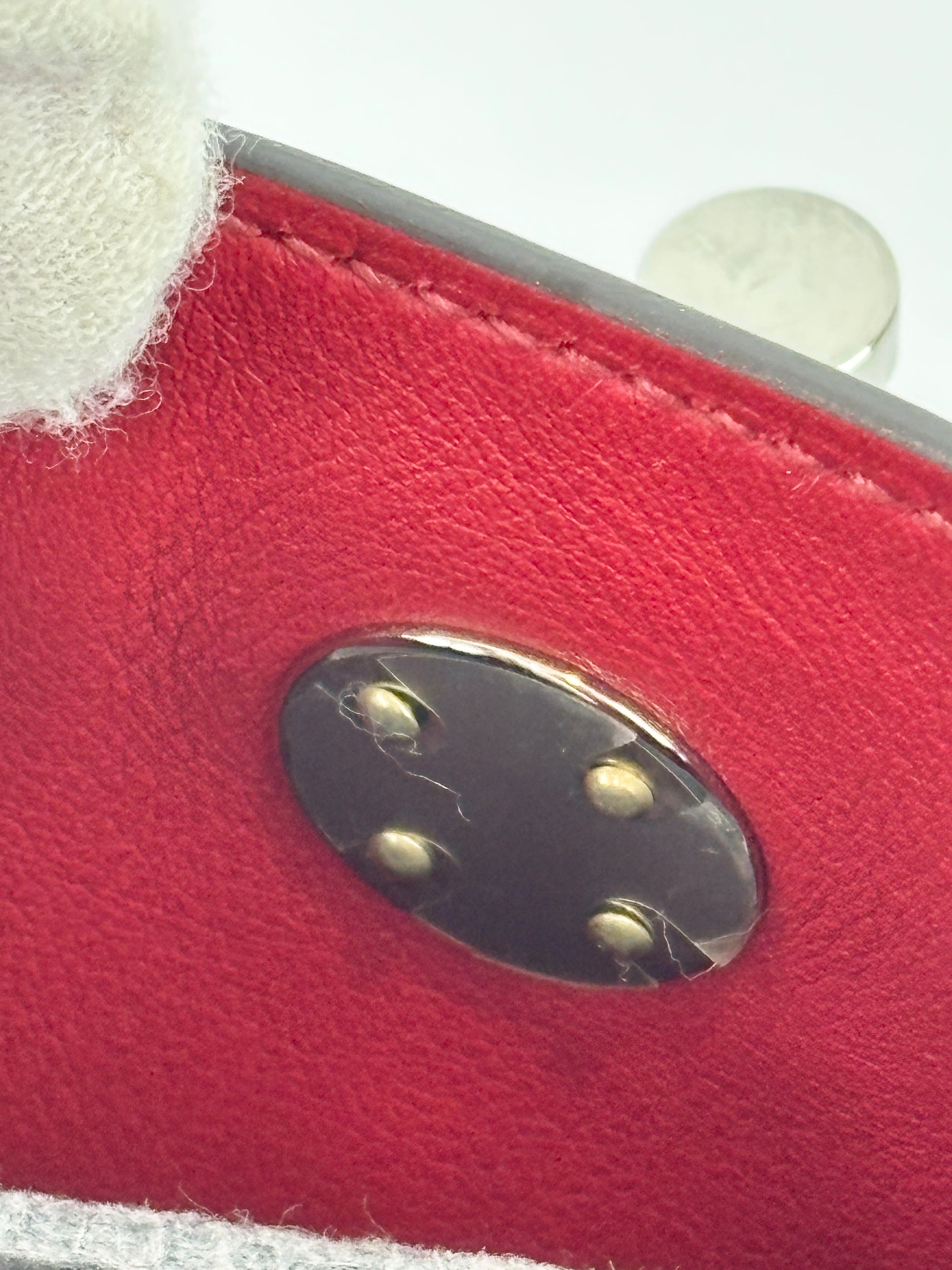 Mini Lindy Verso Rose Mexico / Rouge Pigment Swift