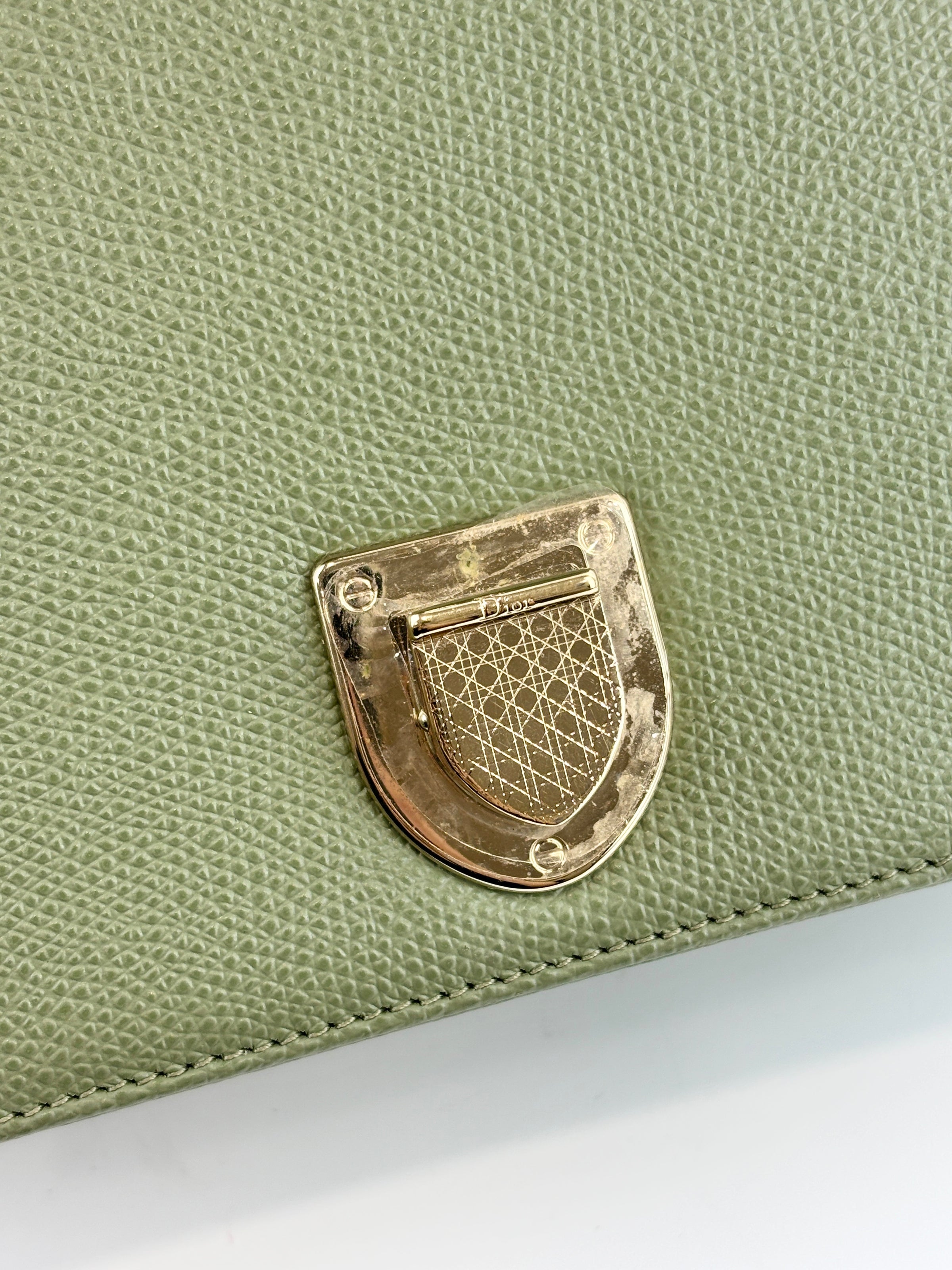 Small Diorama in Light Green Grained Calfskin Leather