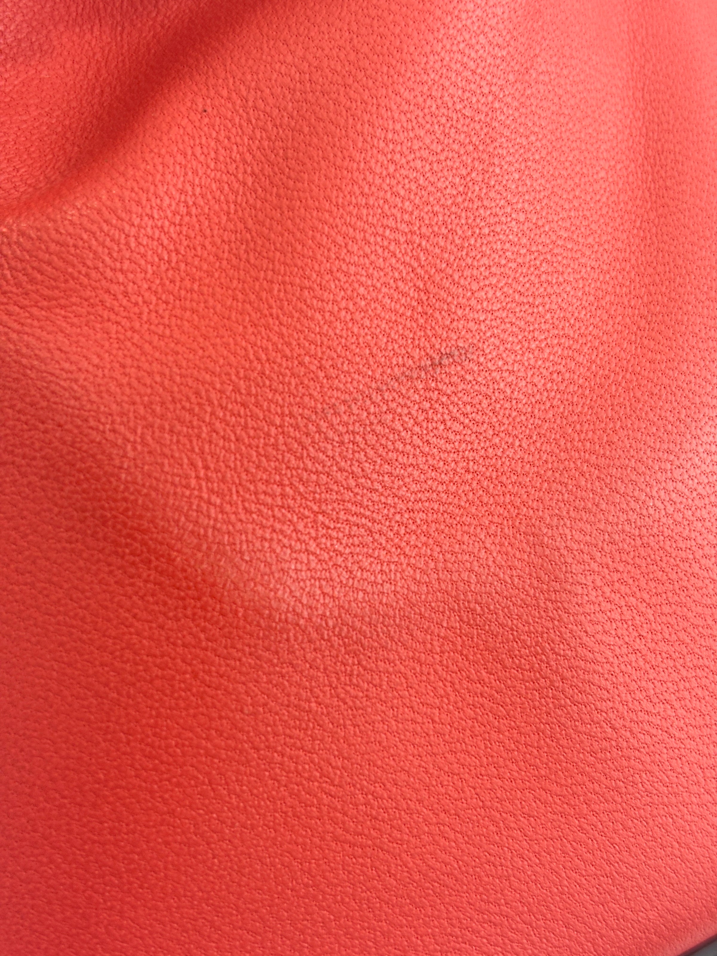 Cruise 2017 Monaco Red Leather Satchel