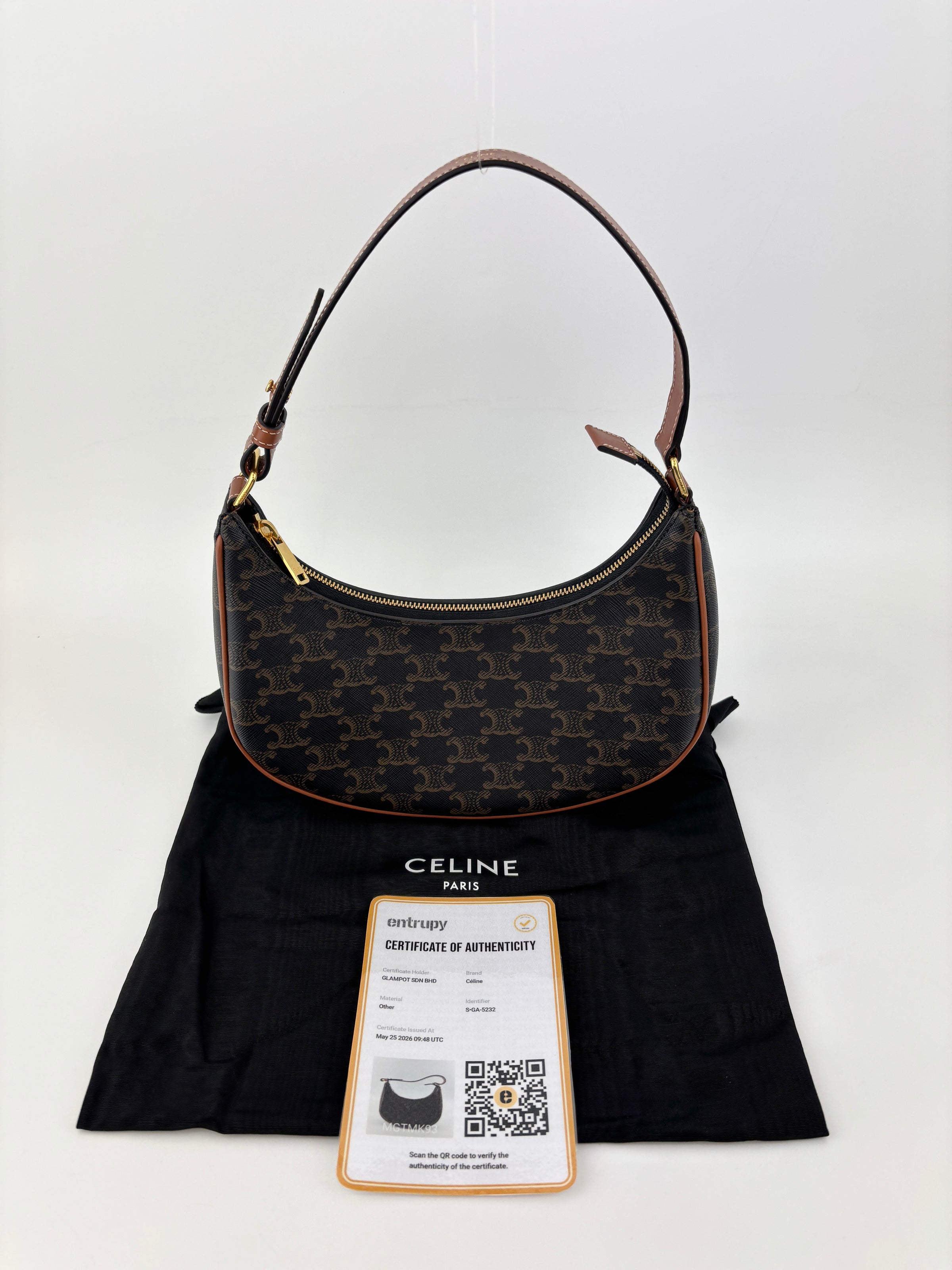 Ava Bag Triomphe Canvas and Calfskin