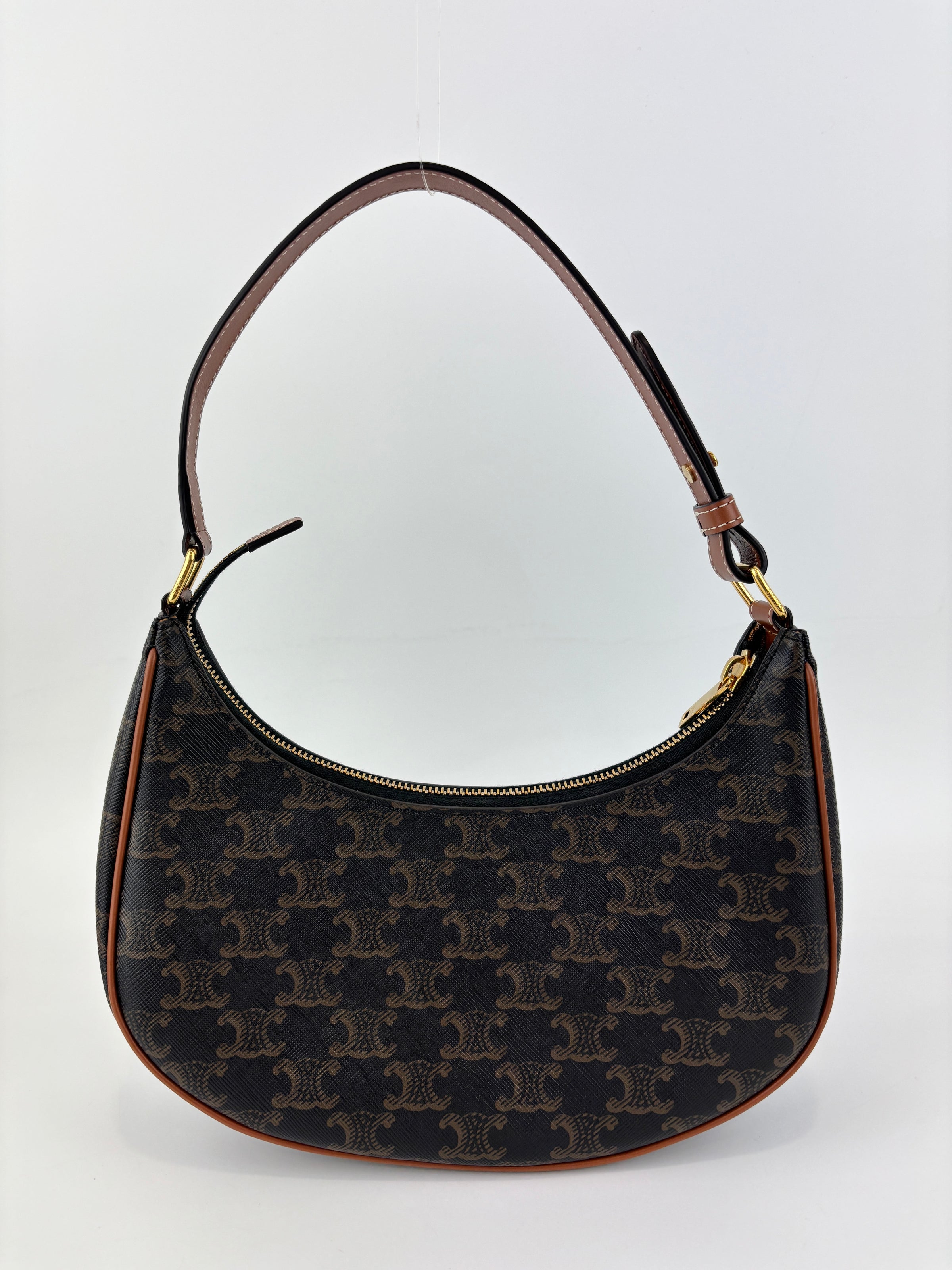Ava Bag Triomphe Canvas and Calfskin