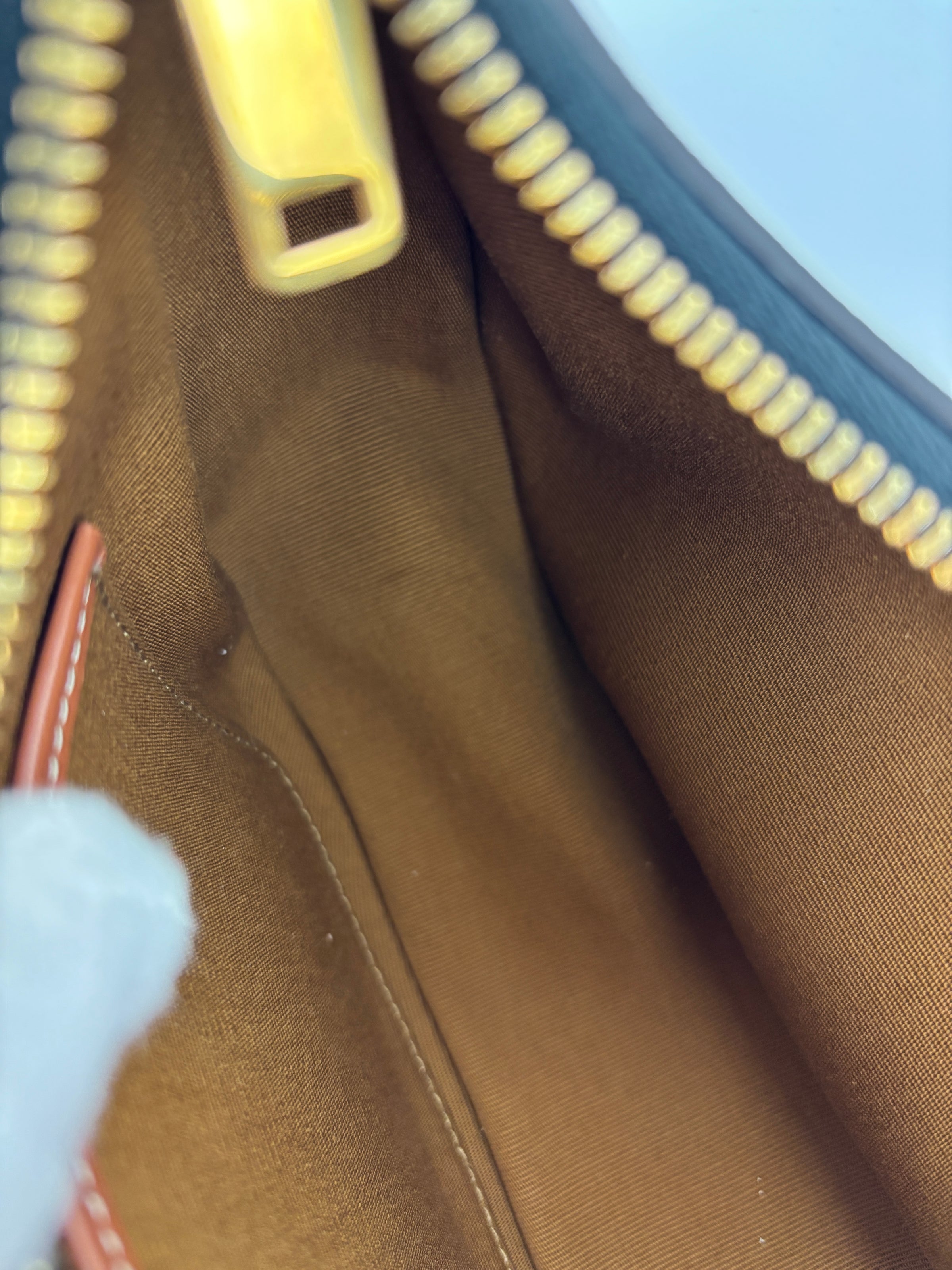 Ava Bag Triomphe Canvas and Calfskin