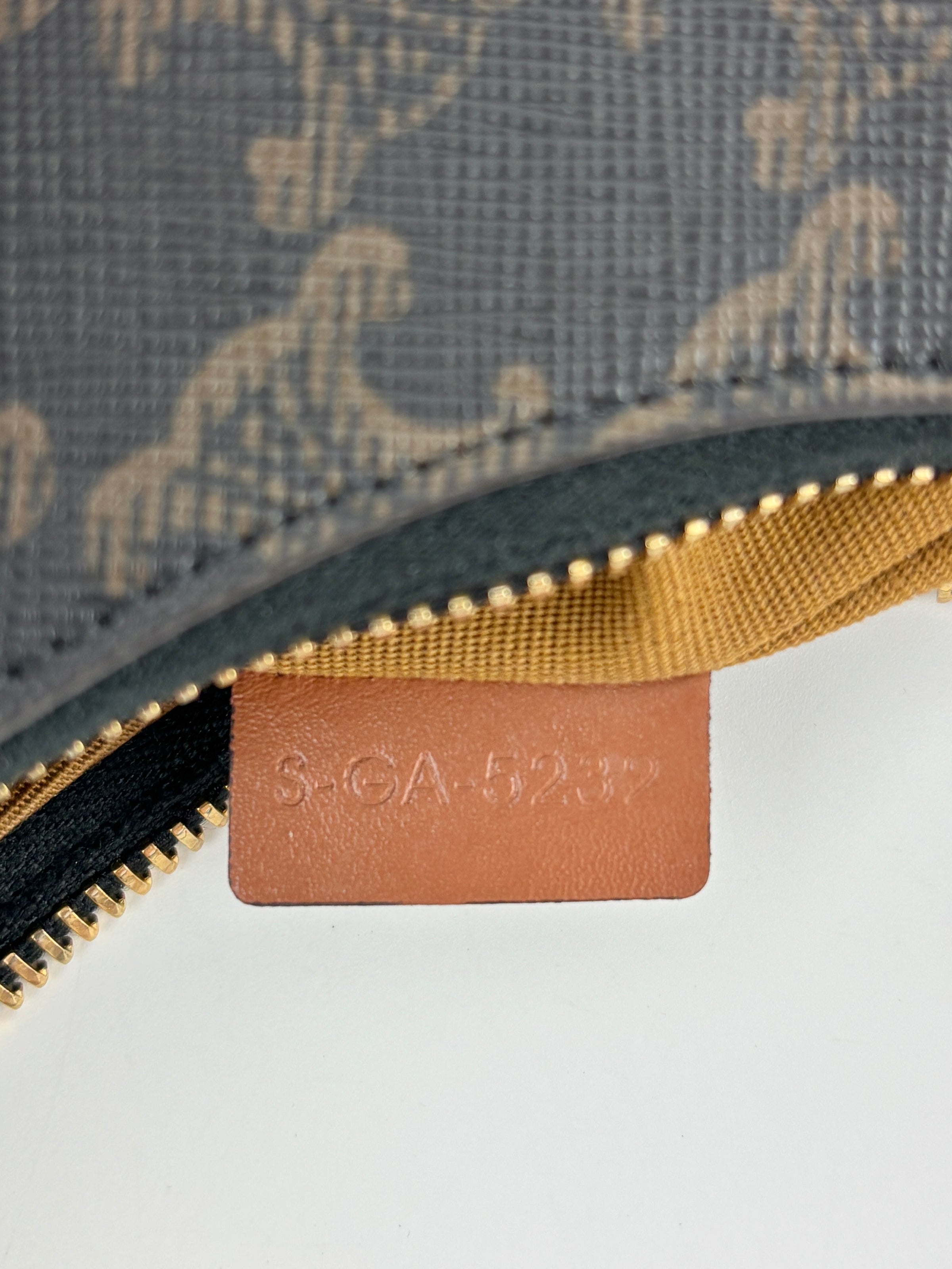 Ava Bag Triomphe Canvas and Calfskin