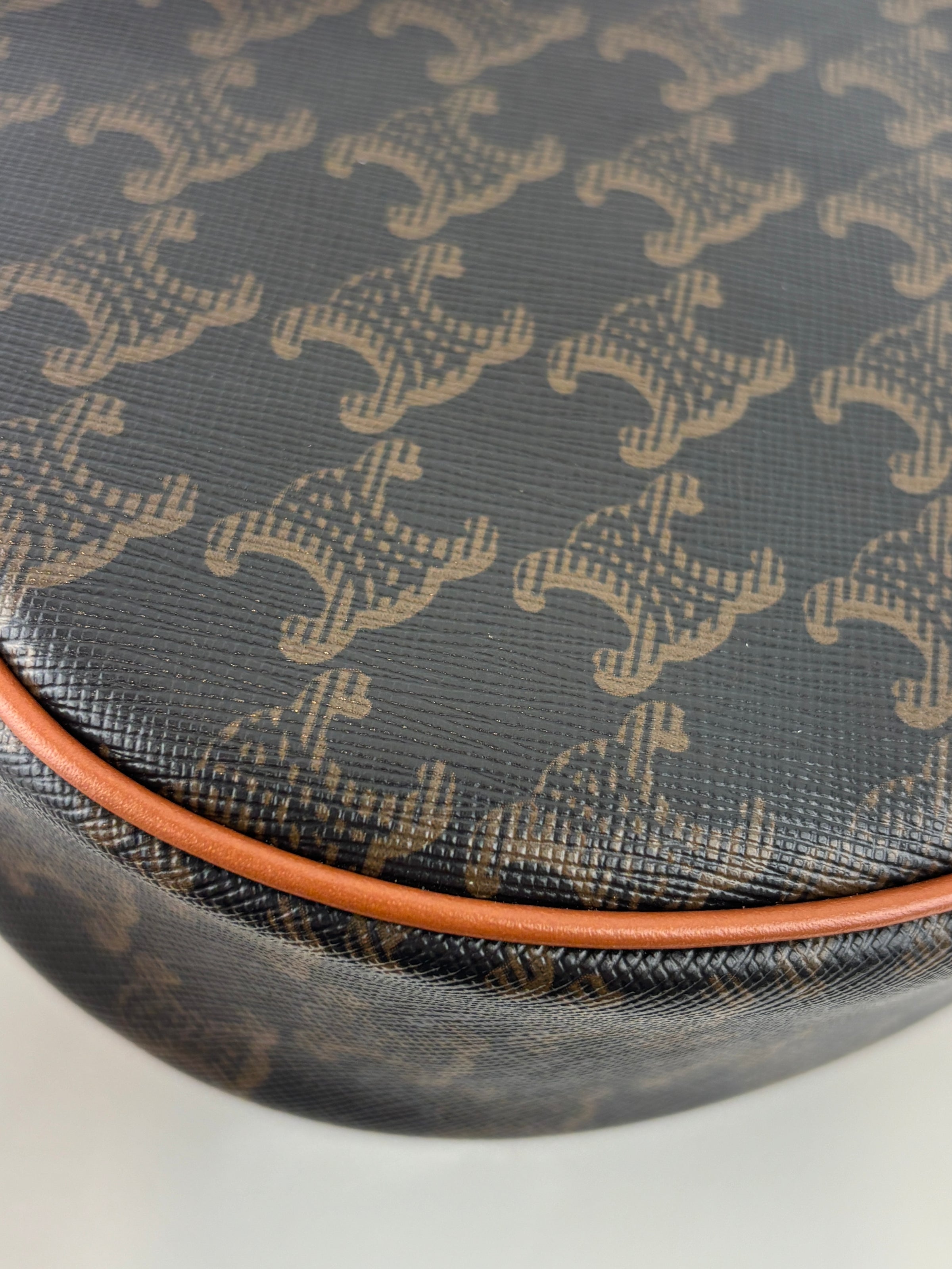 Ava Bag Triomphe Canvas and Calfskin