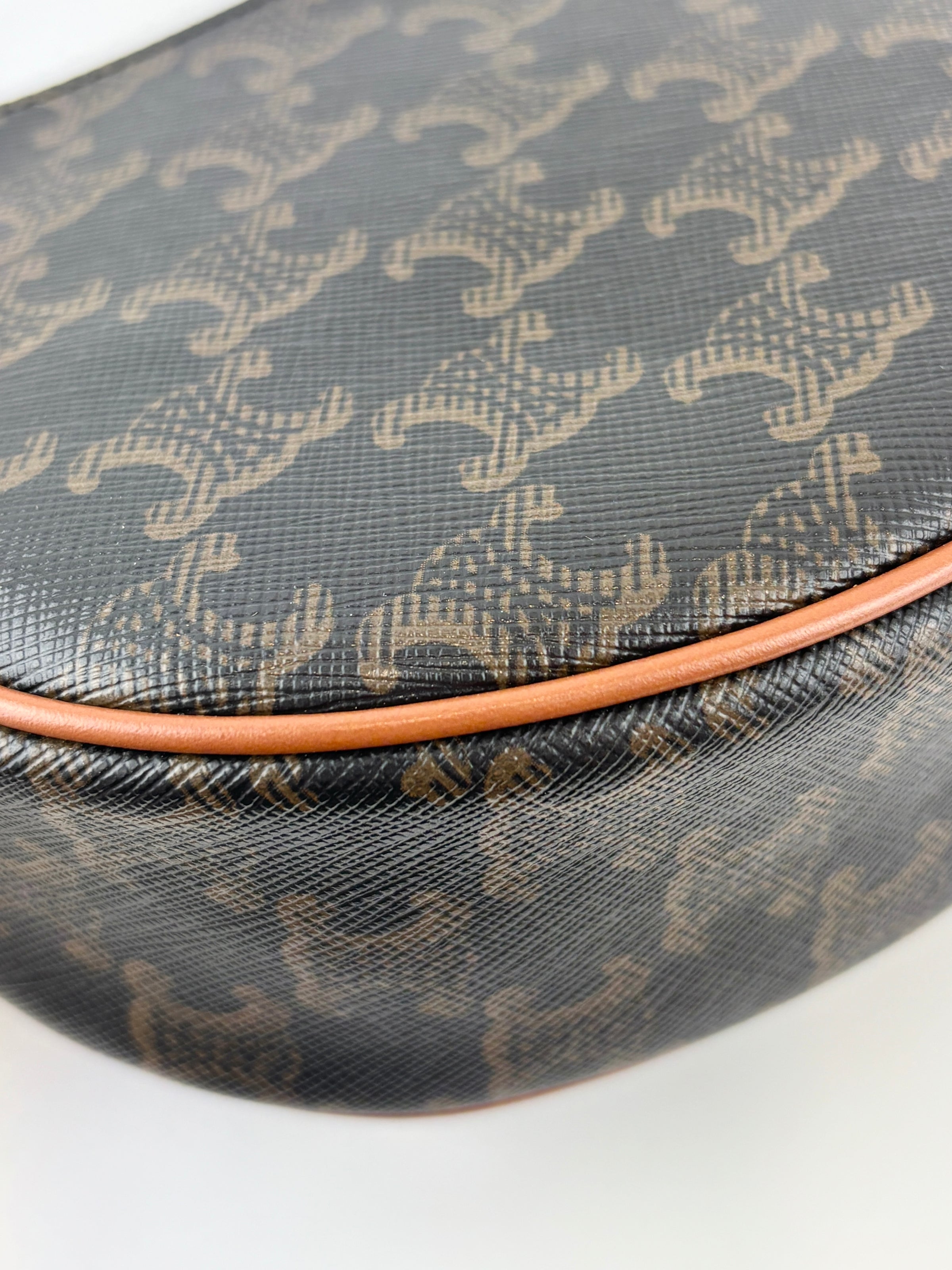Ava Bag Triomphe Canvas and Calfskin
