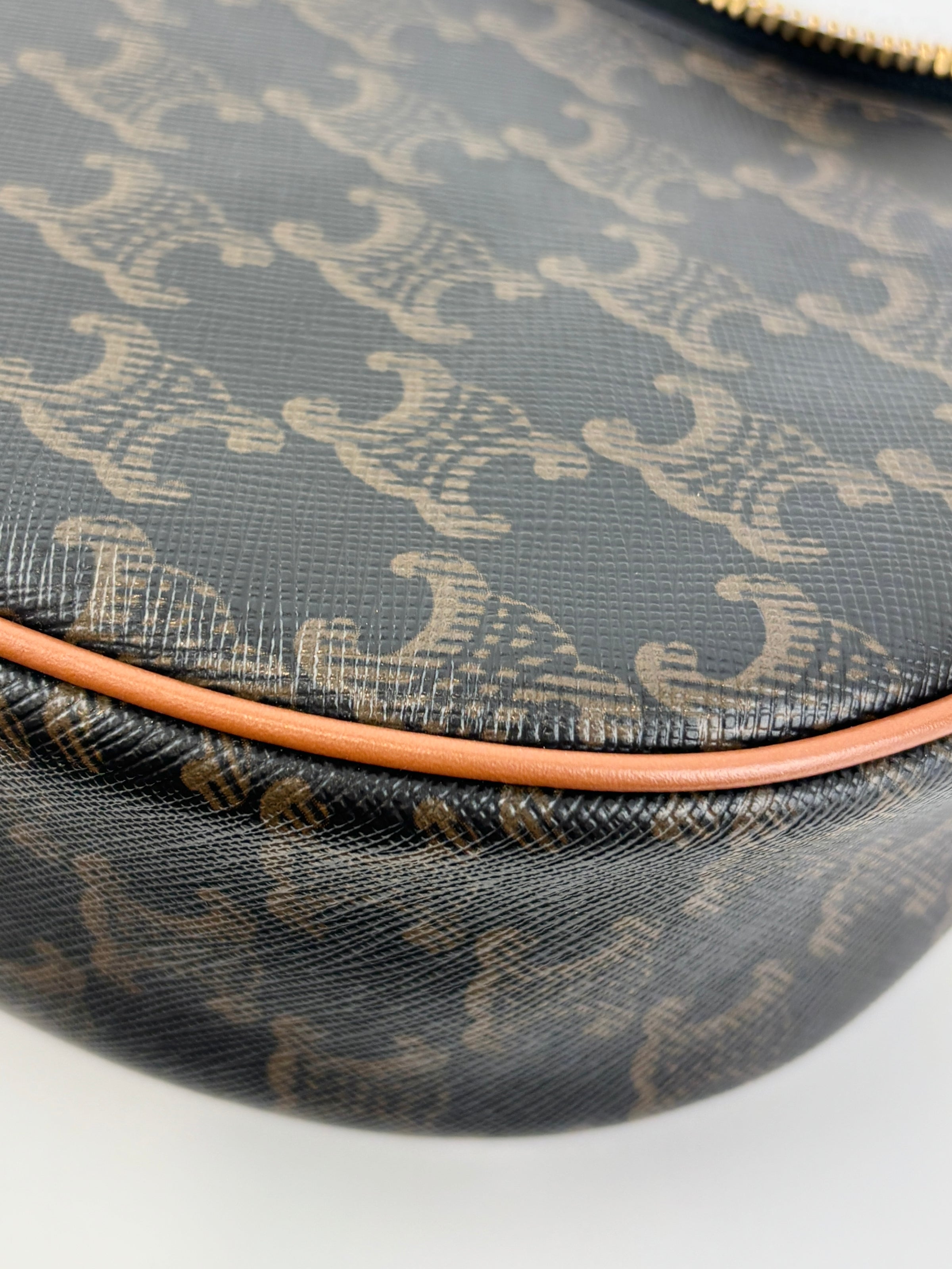 Ava Bag Triomphe Canvas and Calfskin