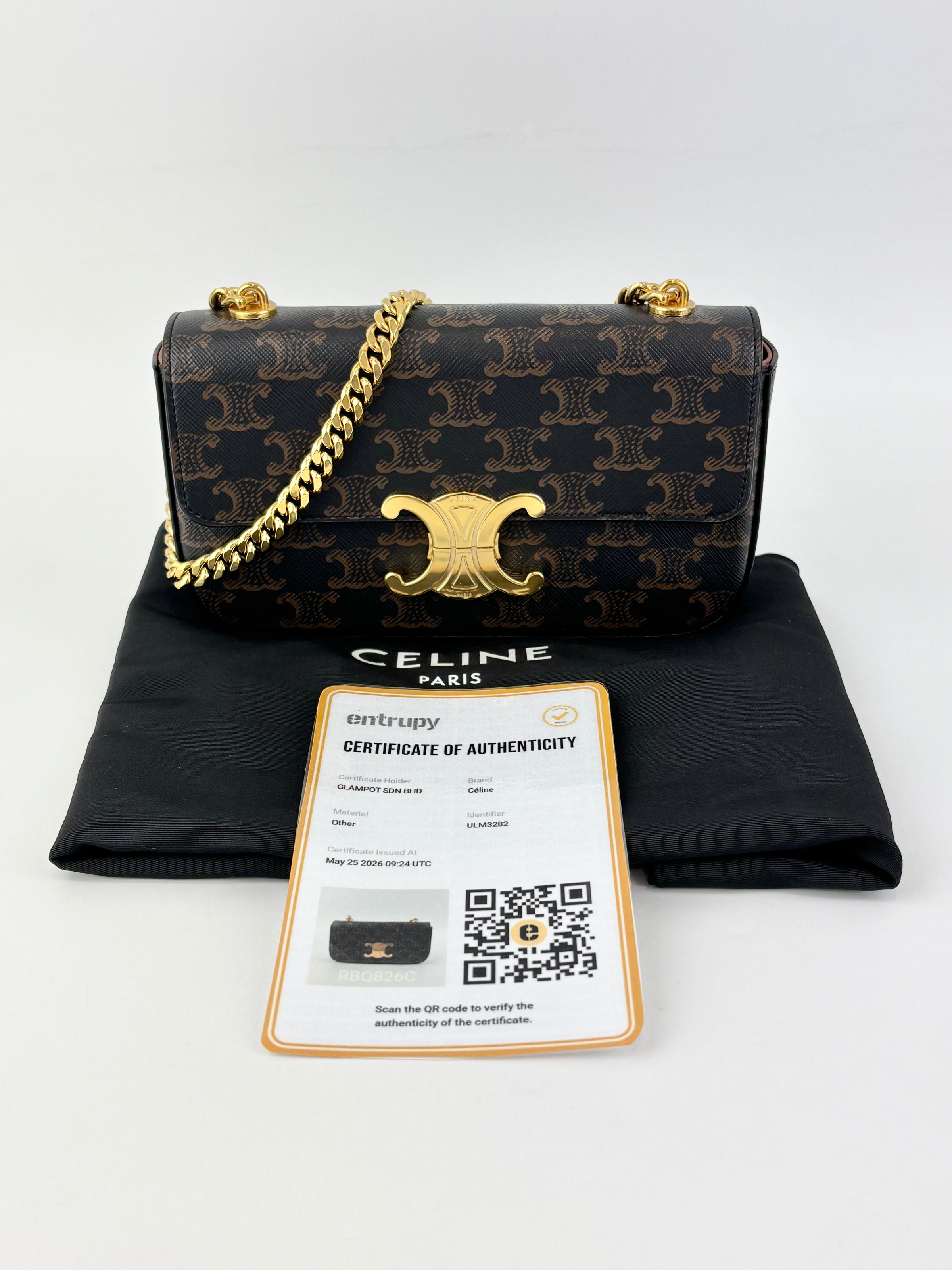 Chain Shoulder Bag in Triomphe Coated Canvas Brown