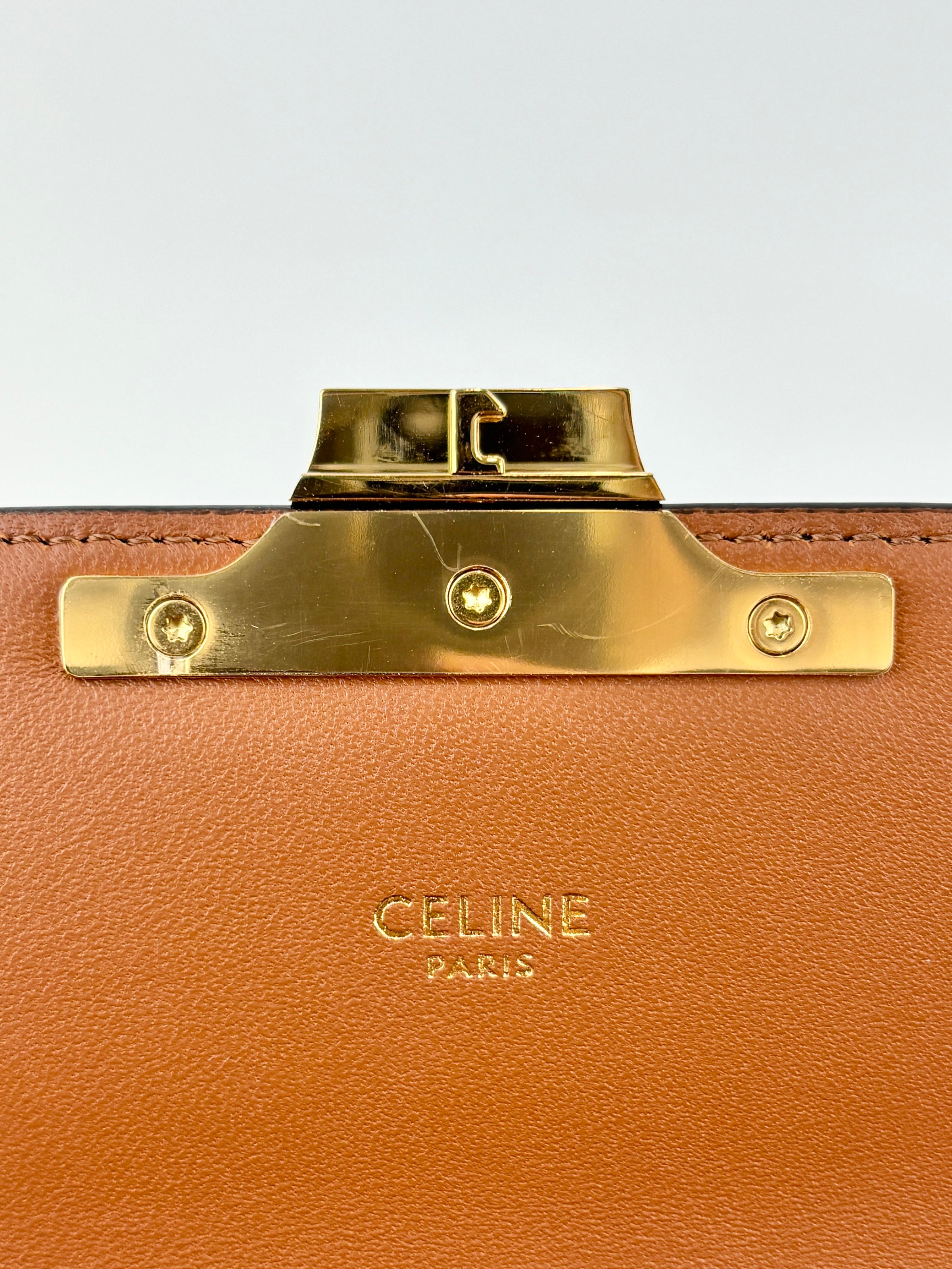 Chain Shoulder Bag in Triomphe Coated Canvas Brown