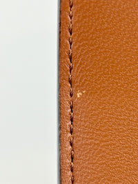 Chain Shoulder Bag in Triomphe Coated Canvas Brown