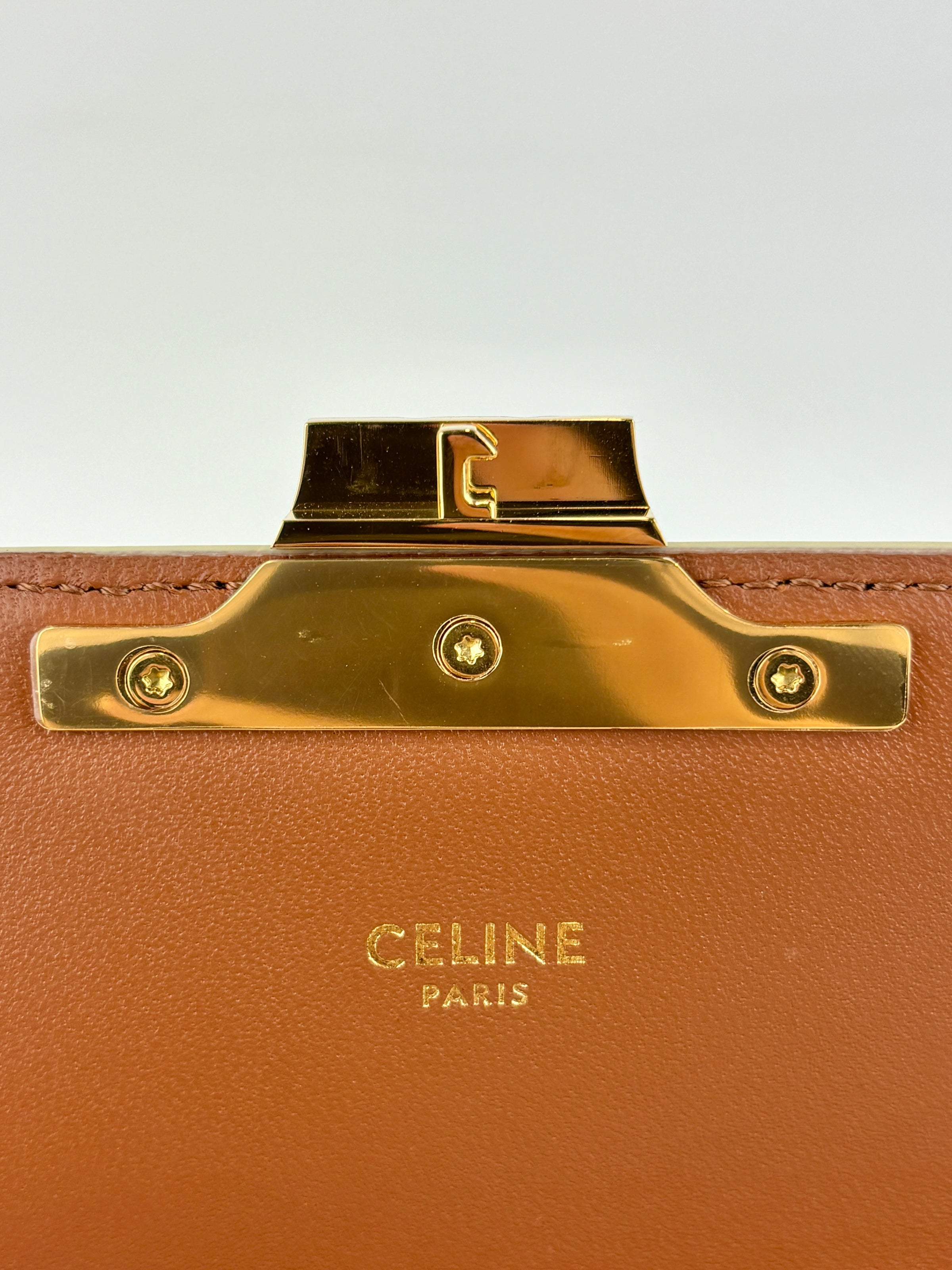 Triomphe Shoulder Bag In Triomphe Canvas White