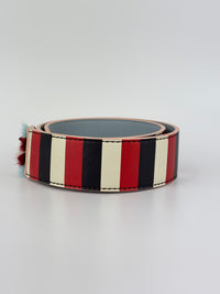 Multicolor Stripe Printed Leather Monster Bag Strap