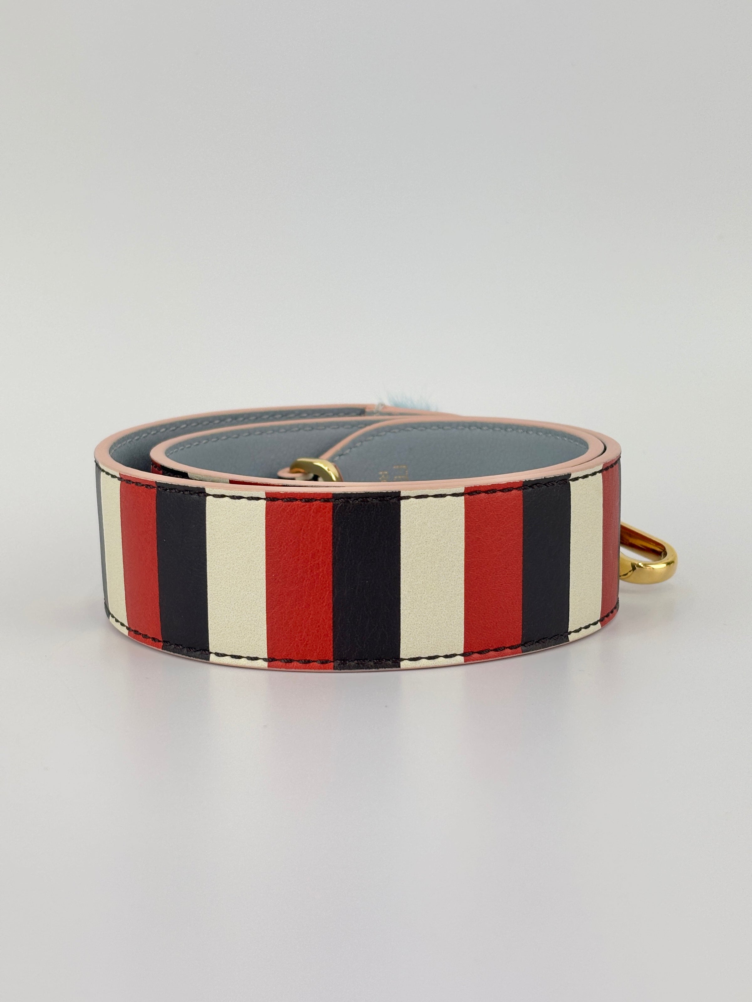 Multicolor Stripe Printed Leather Monster Bag Strap
