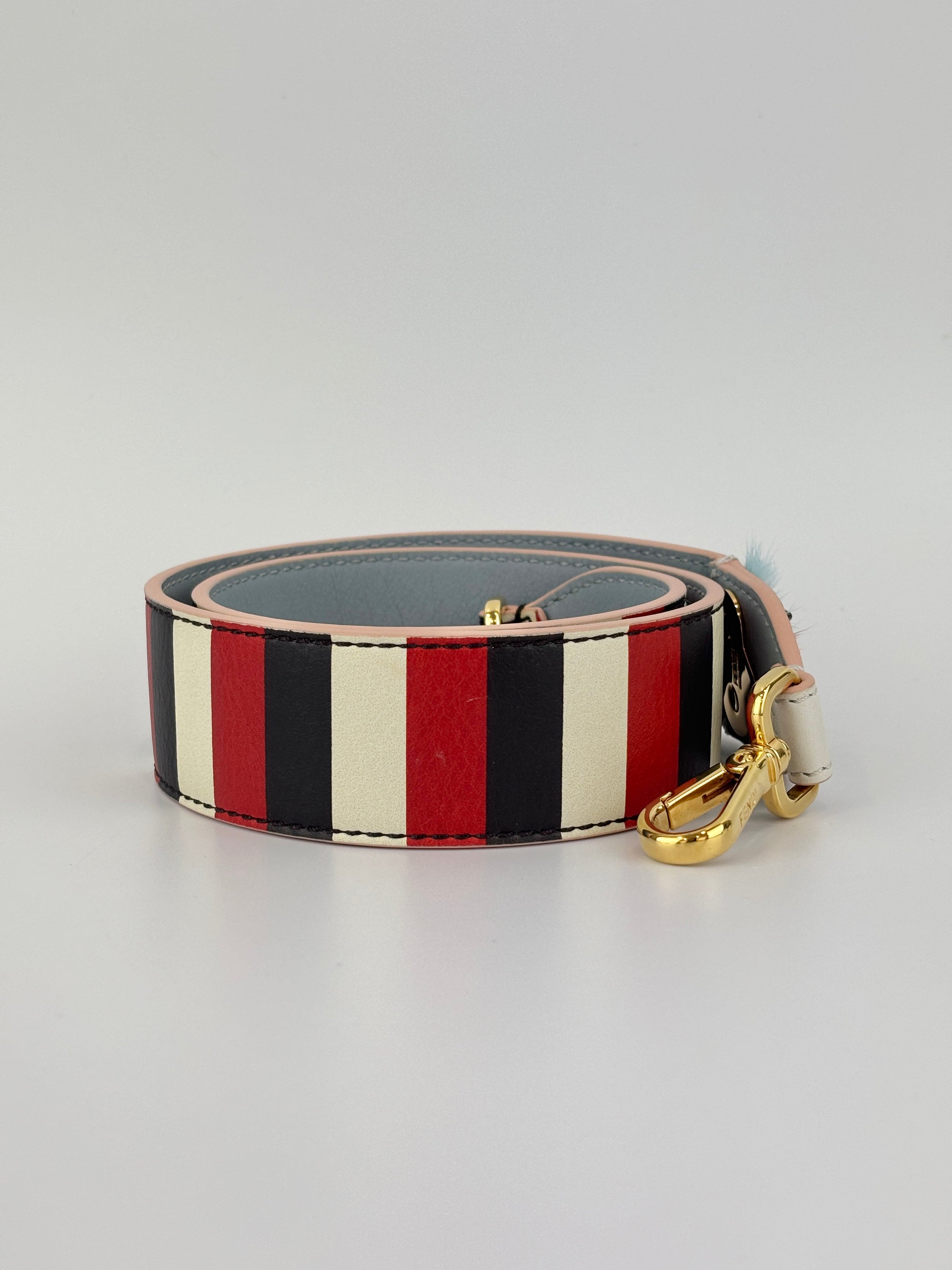 Multicolor Stripe Printed Leather Monster Bag Strap