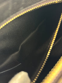 Le Monogramme Camera Bag Brown Monogram