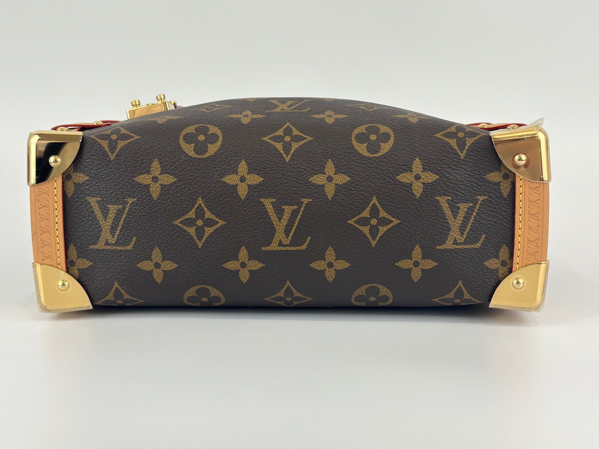 Side Trunk MM Monogram Canvas (RFID)