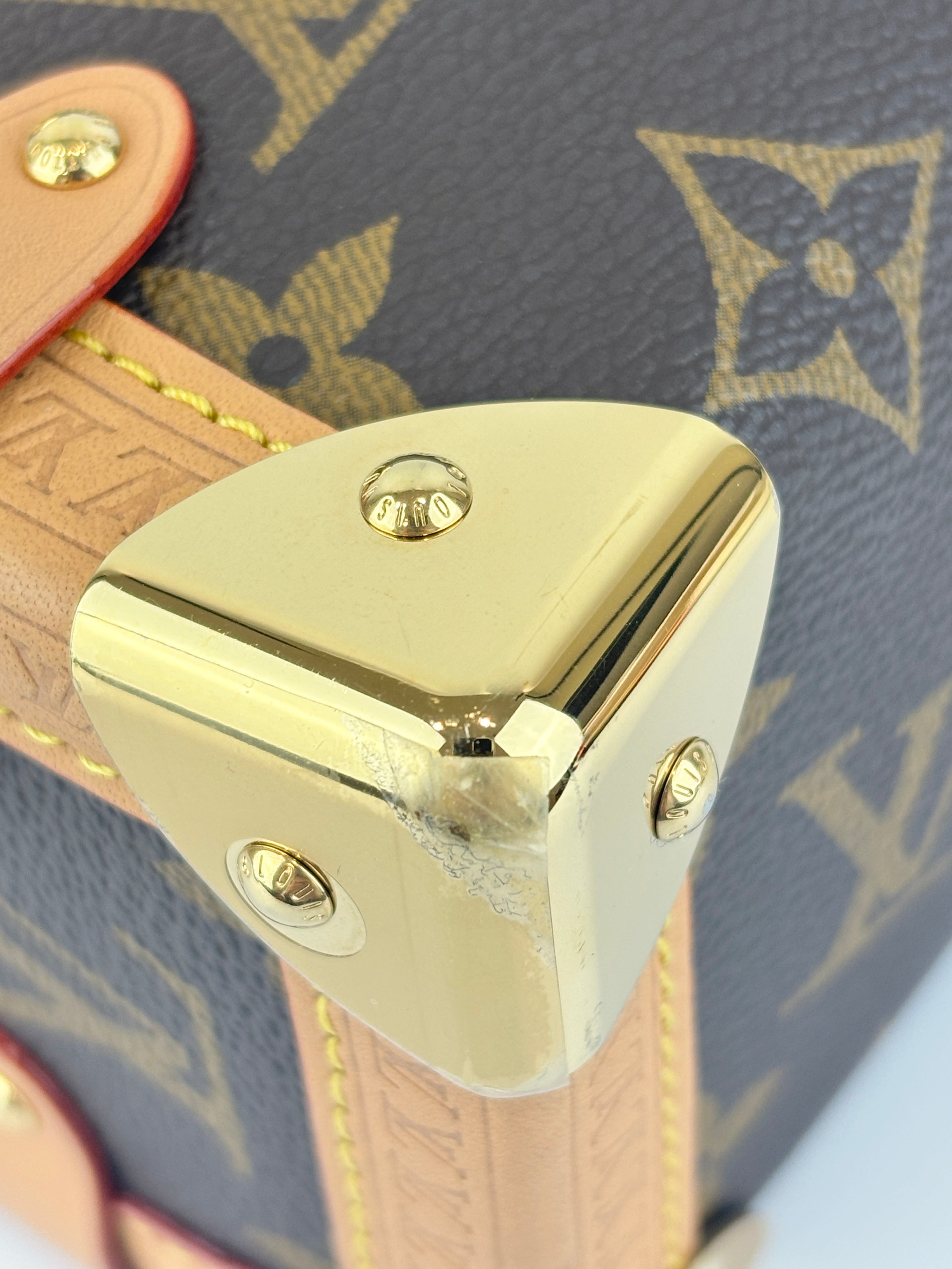 Side Trunk MM Monogram Canvas (RFID)